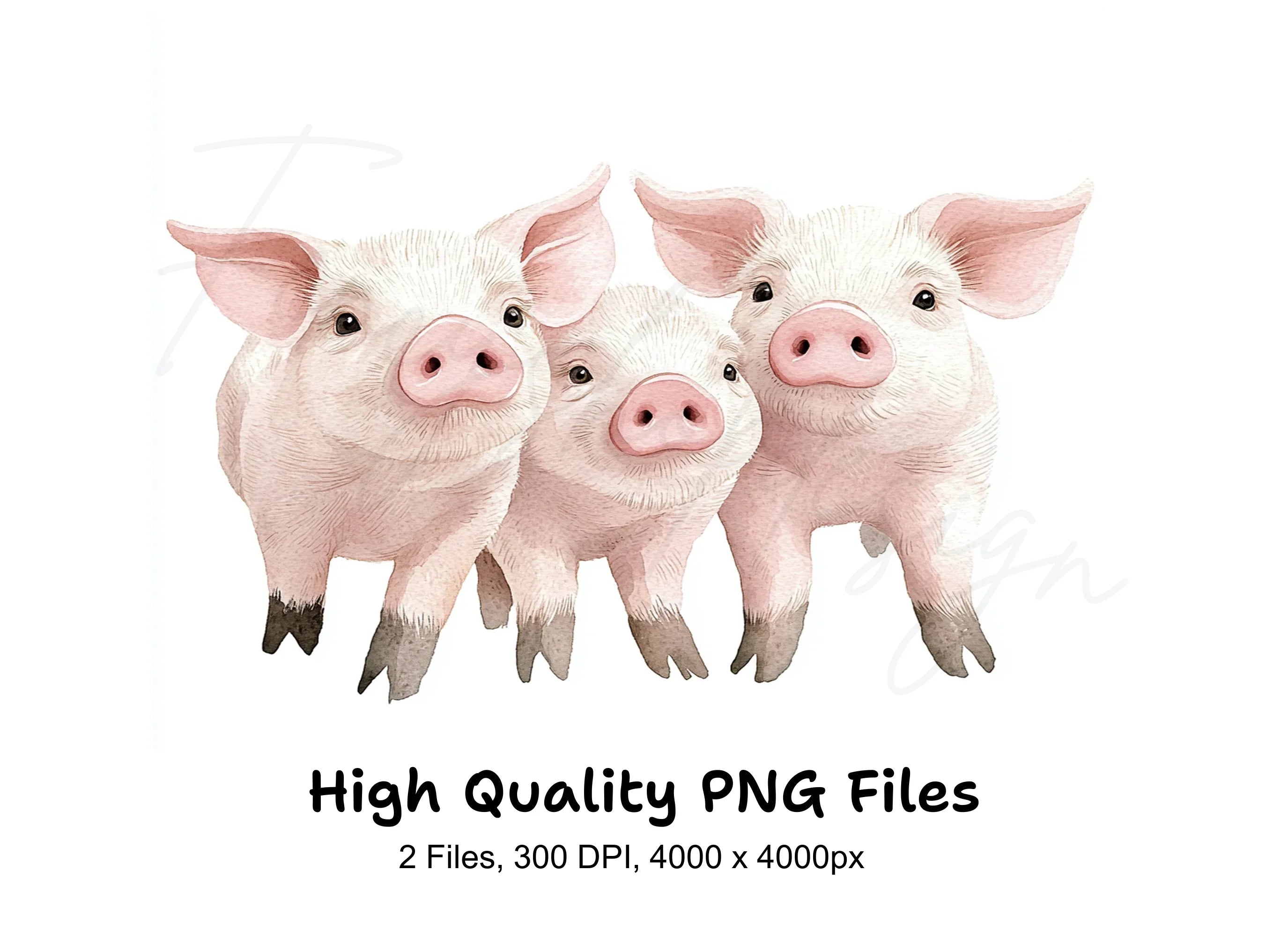 Cute Piglets Clipart Bundle