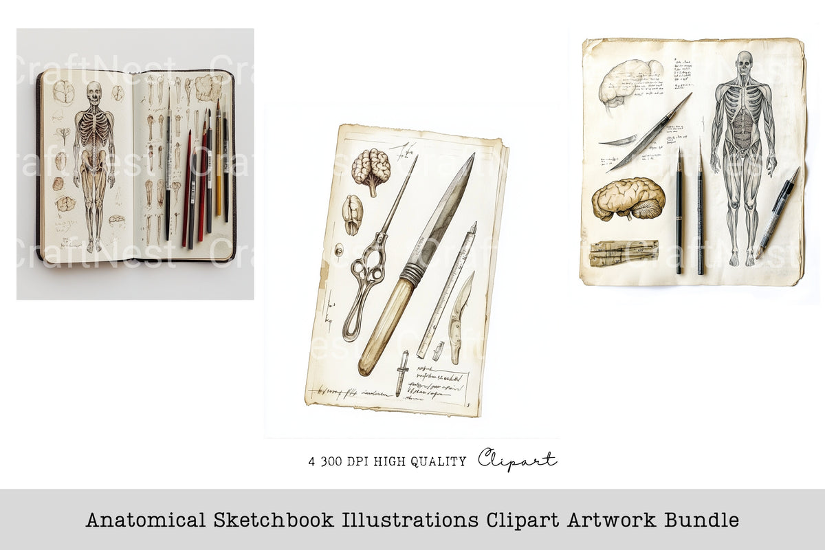 Anatomical Sketchbook Illustrations Clipart Artwork Planner