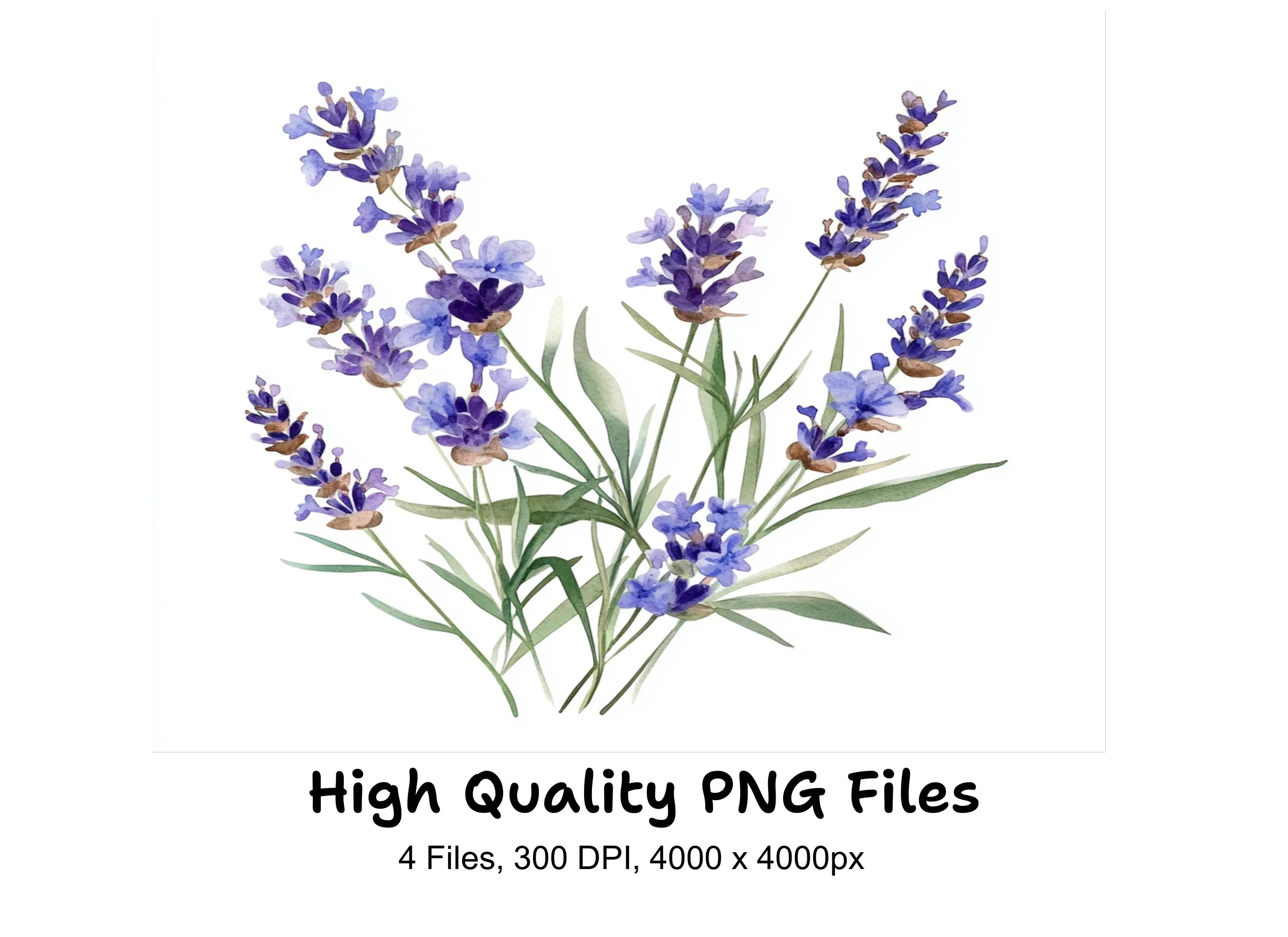 Blue Lavender Floral Clipart Bundle