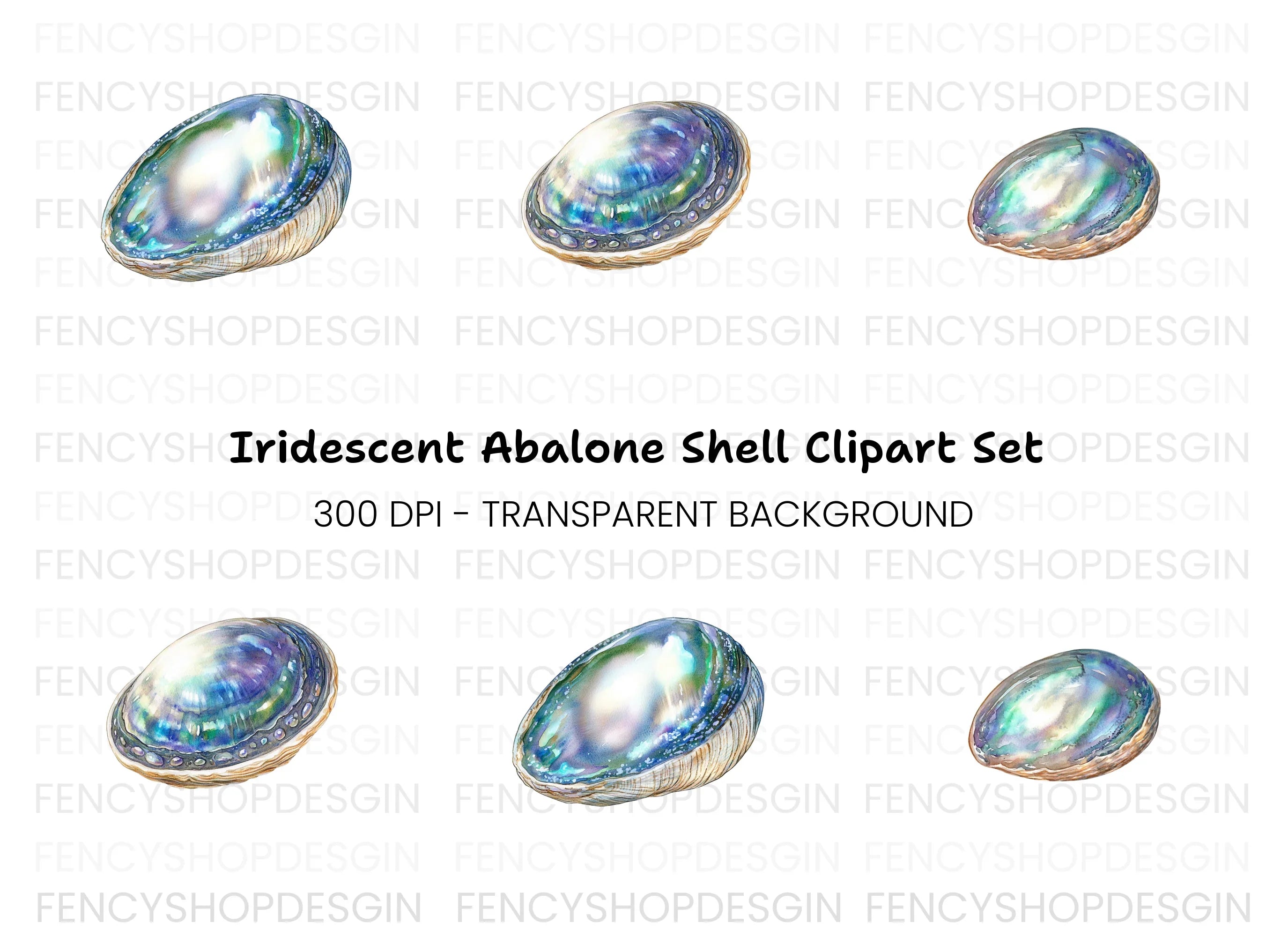 Iridescent Abalone Shells Clipart Bundle