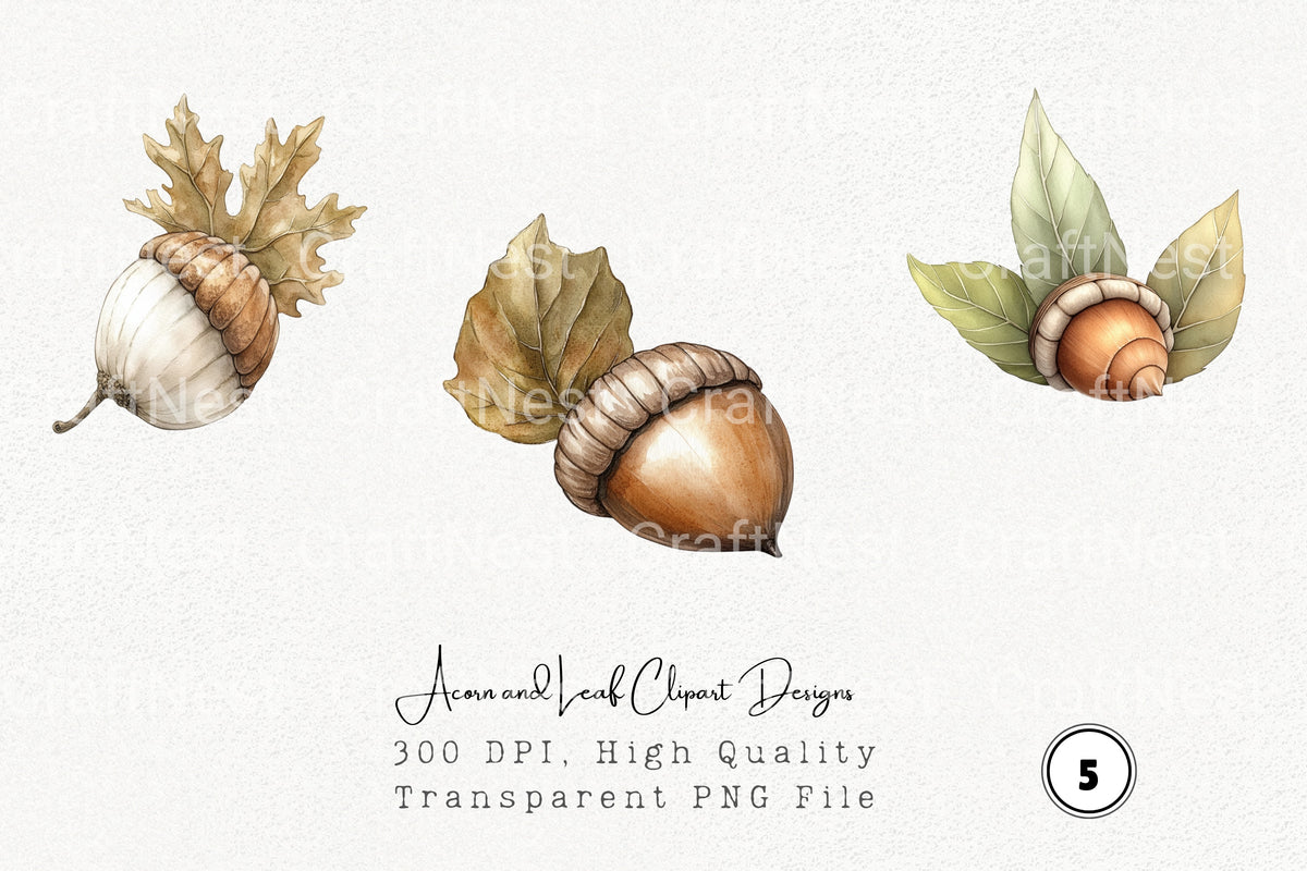 Acorn And Leaf Designs Clipart Bundle