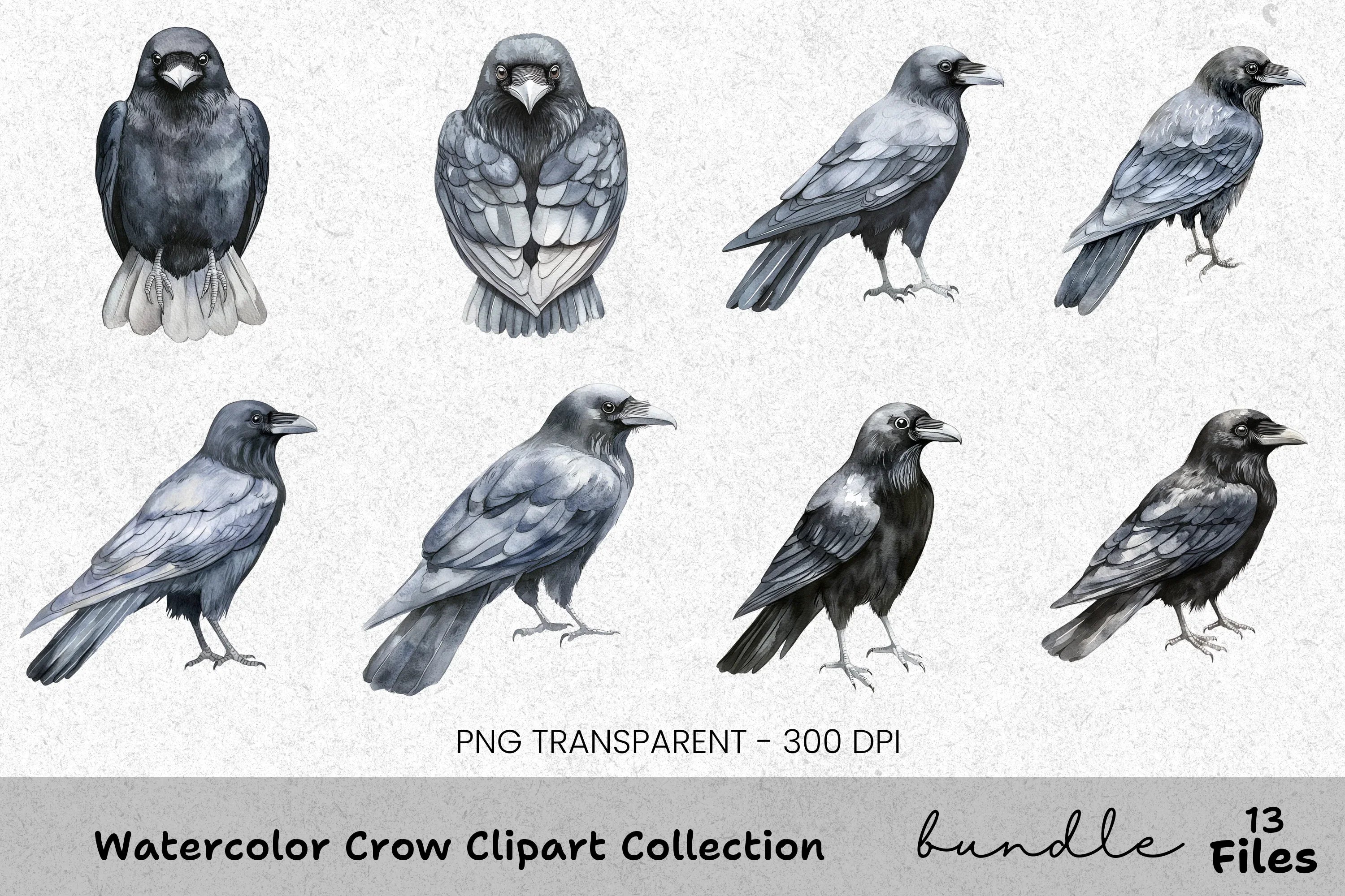 Crow Clipart Bundle
