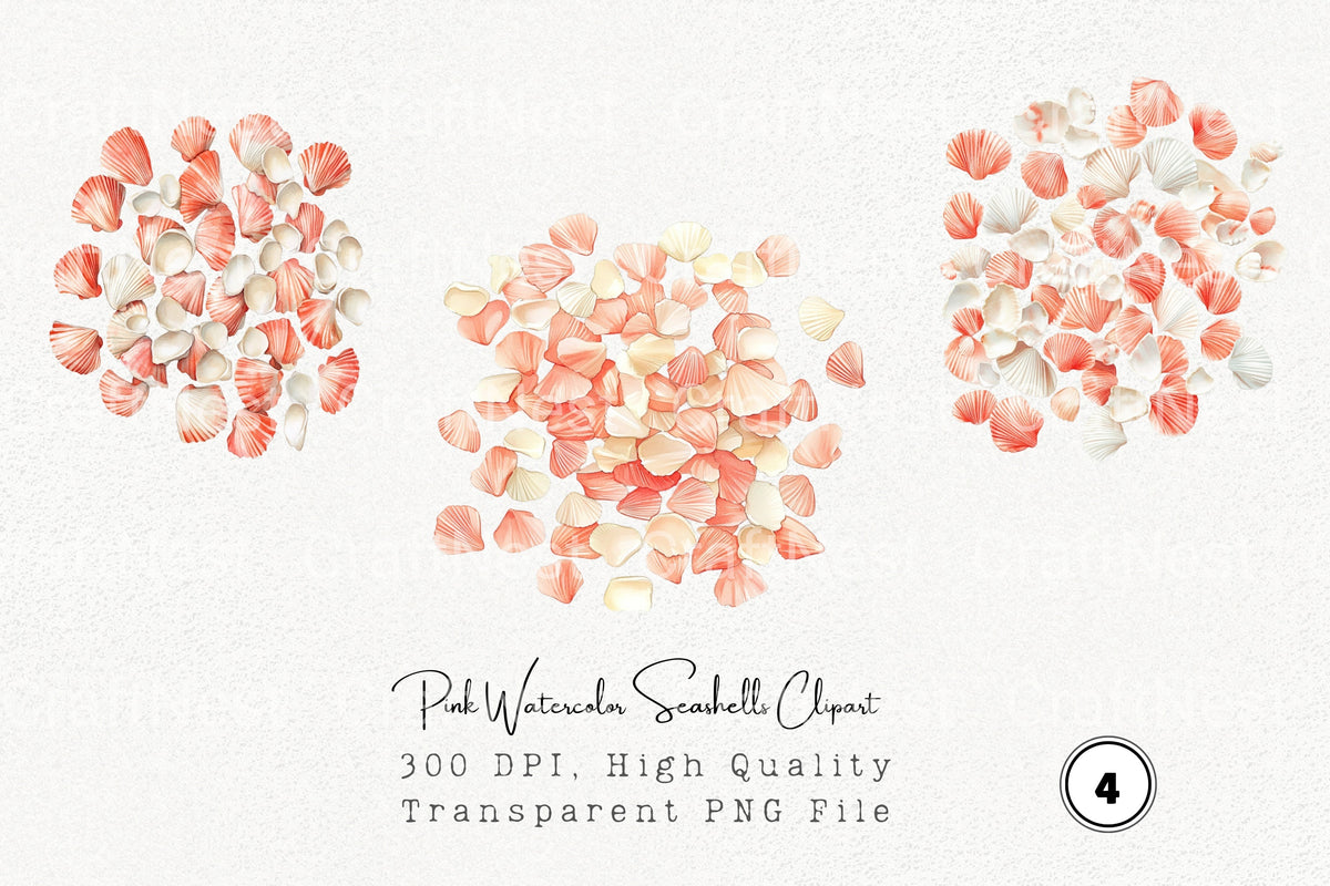 Pink Seashells Clipart Bundle