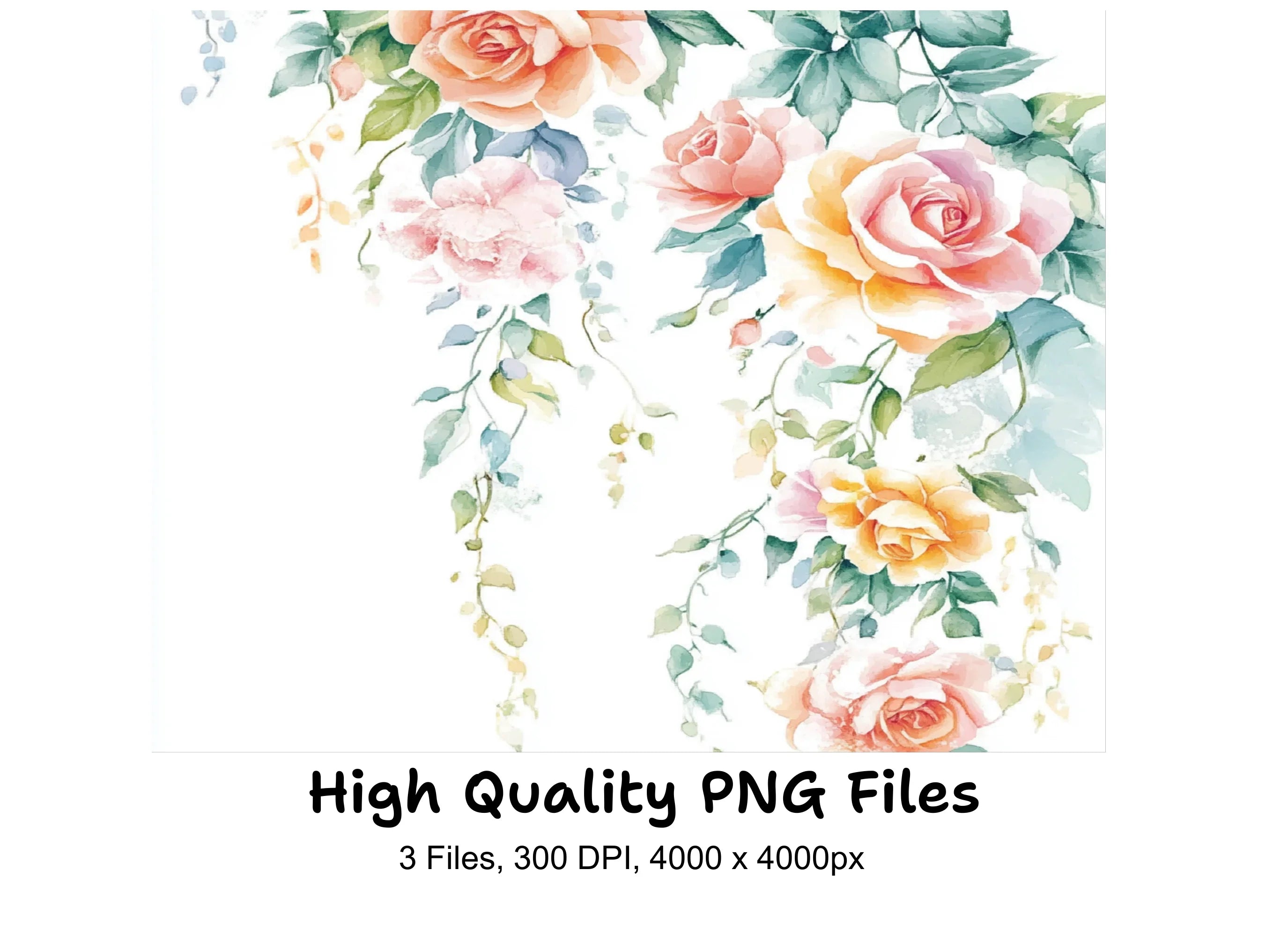 Elegant Rose Floral Clipart Bundle