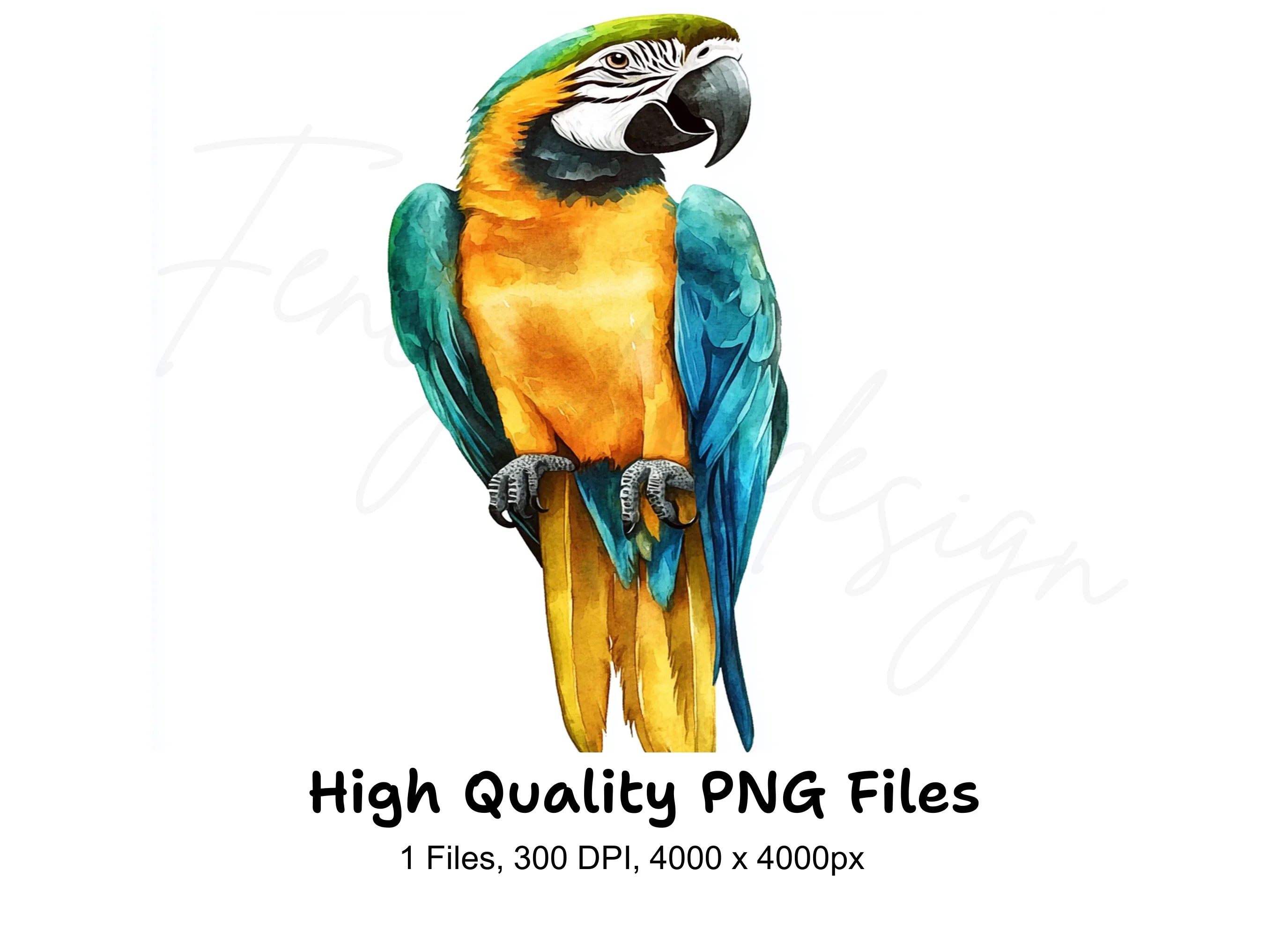 Vibrant Macaw Parrot Clipart Bundle
