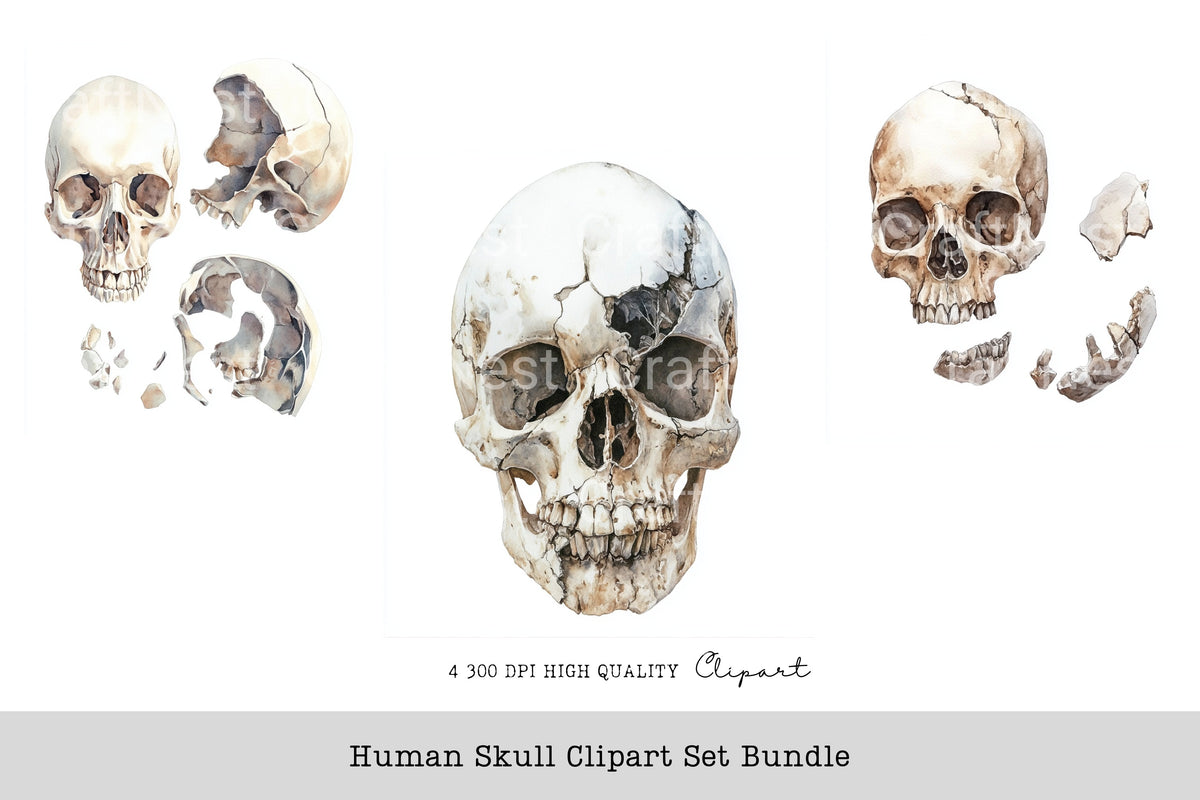 Human Skull Clipart Bundle