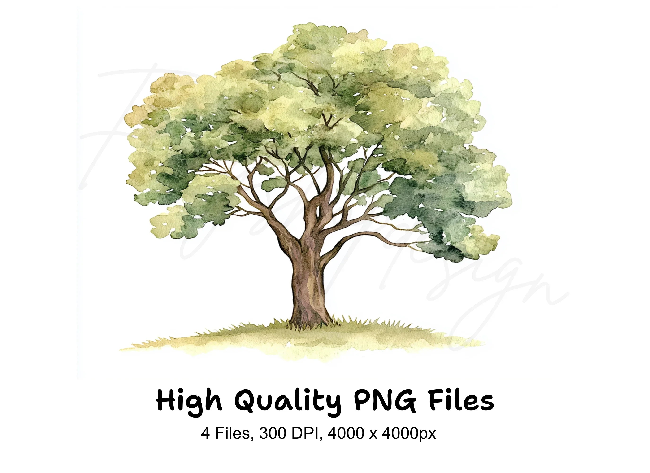 Trees Clipart Bundle