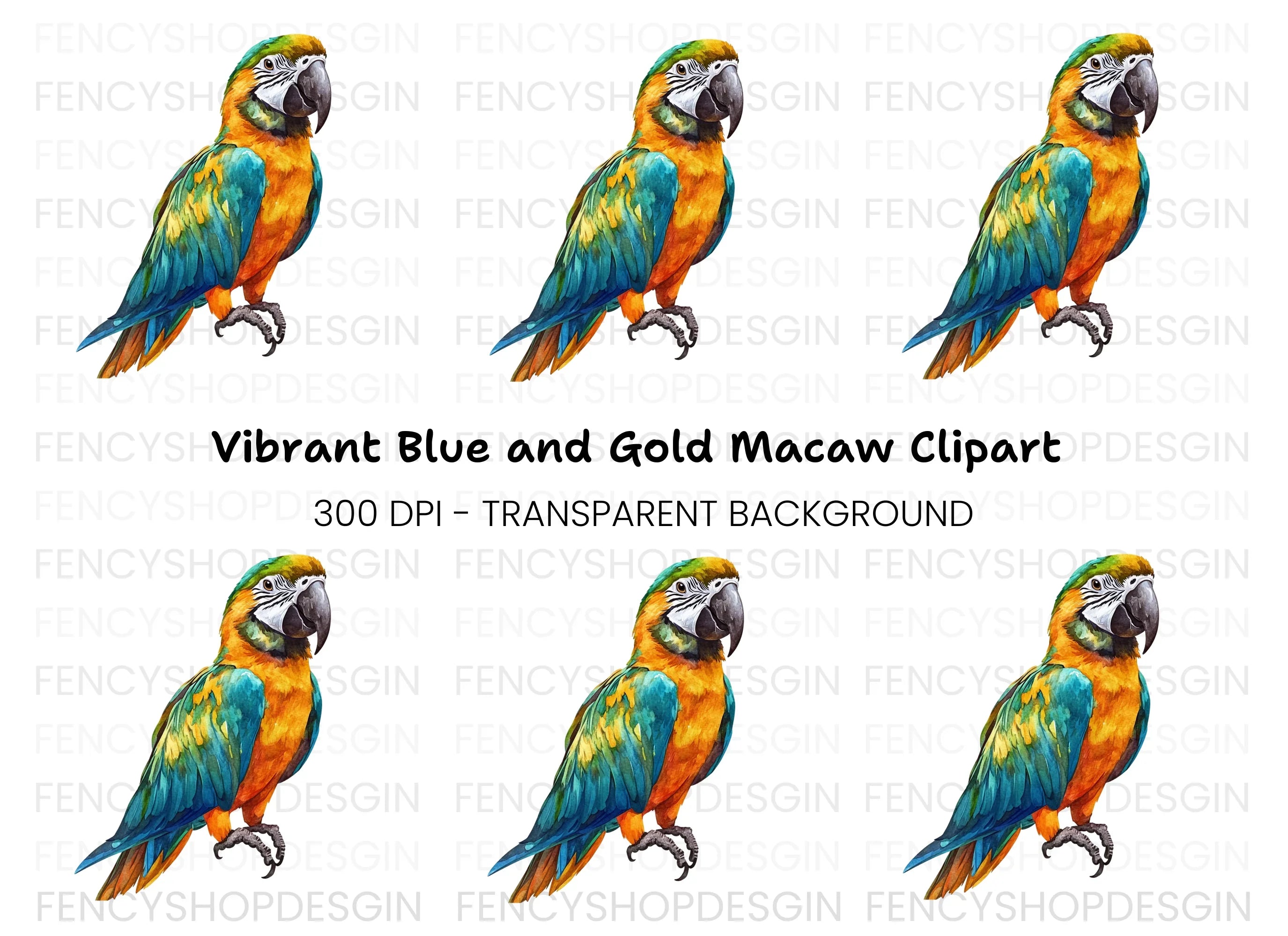 Vibrant Macaw Clipart Bundle