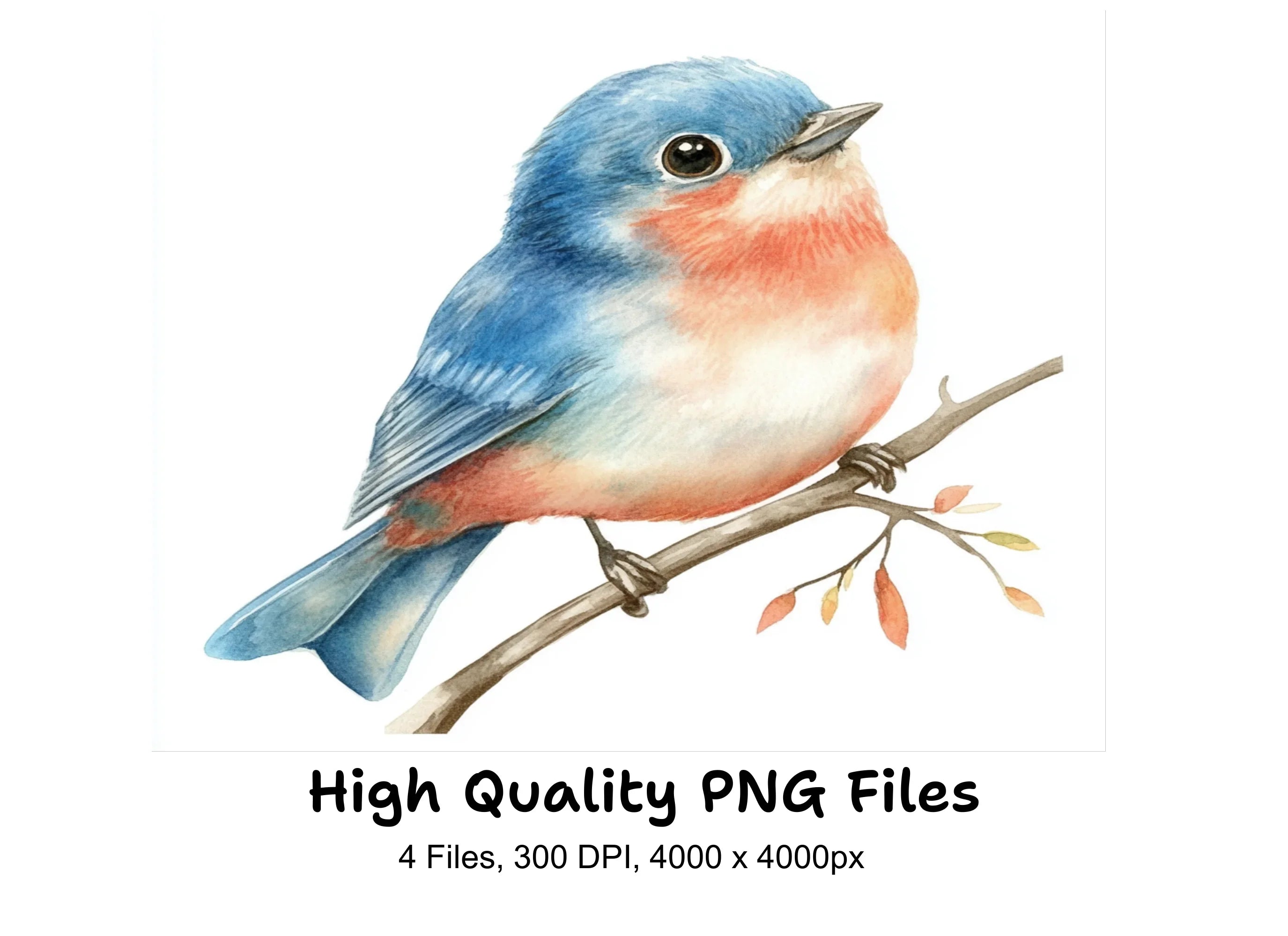 Cute Birds Clipart Bundle