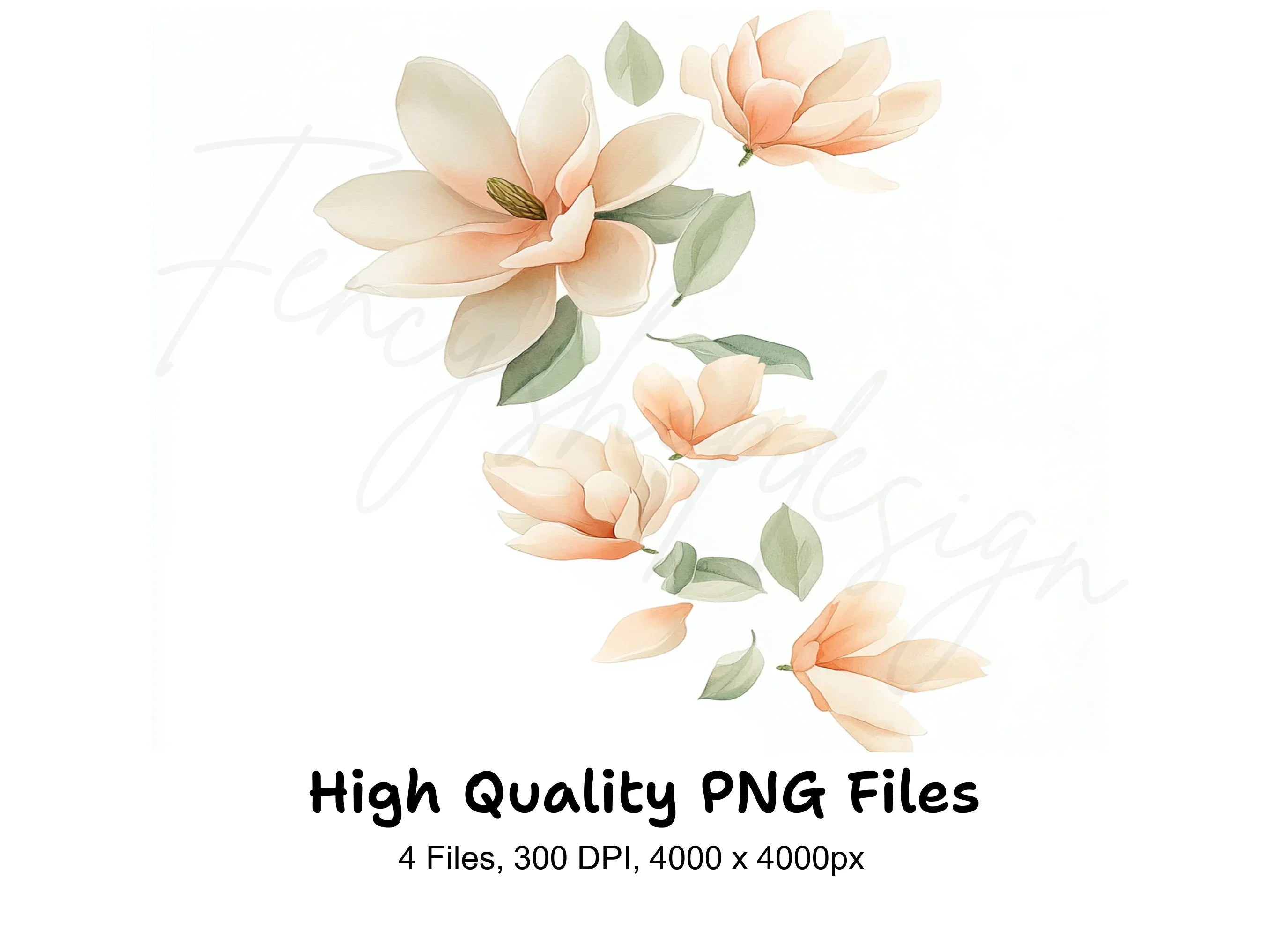 Magnolia Blossom Clipart Bundle