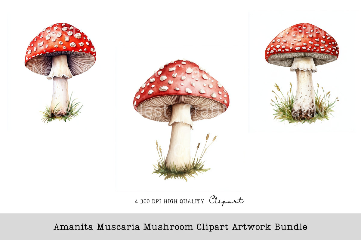 Amanita Muscaria Mushroom Artwork Clipart Bundle