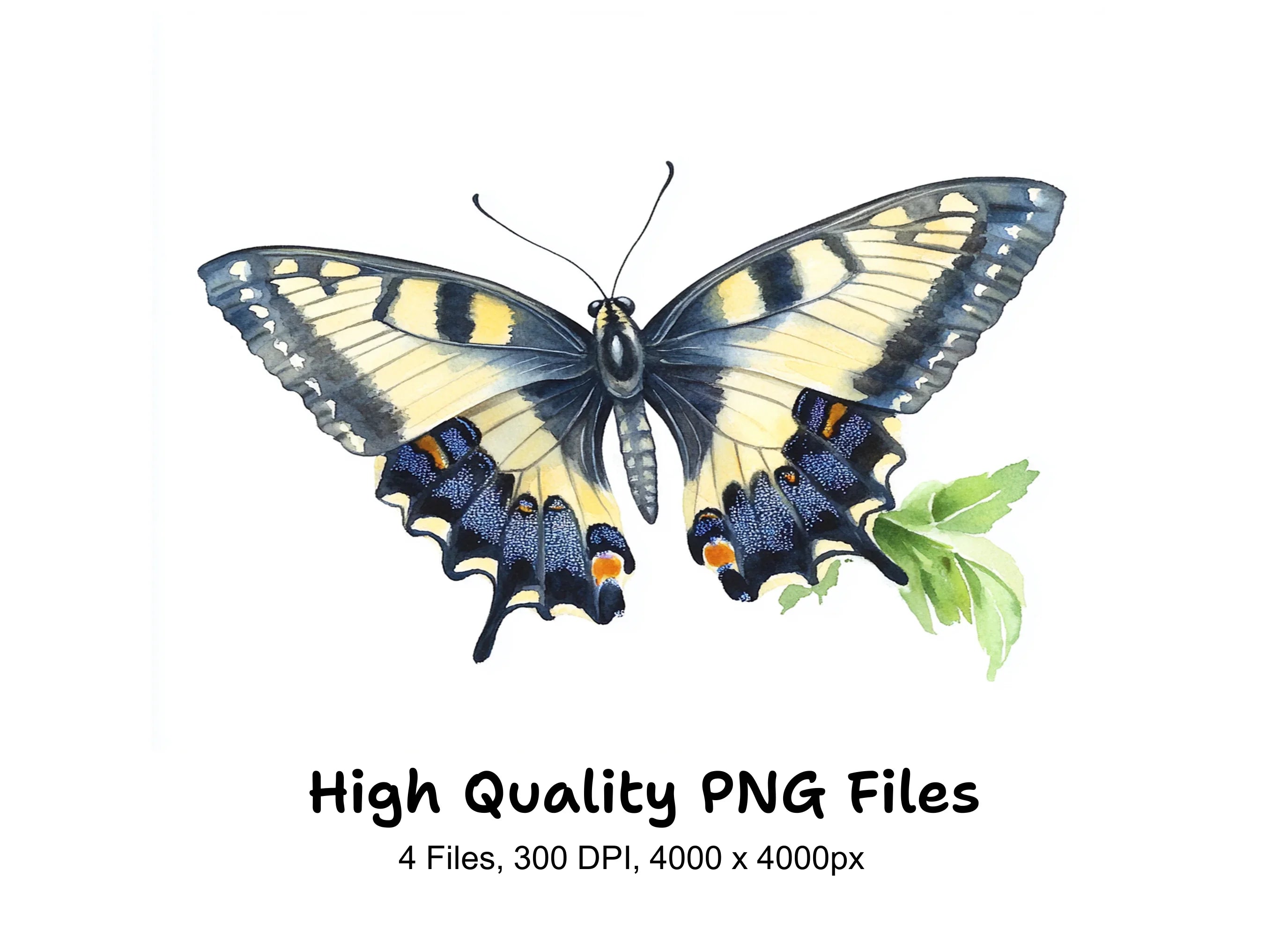 Elegant Swallowtail Butterfly Clipart Bundle