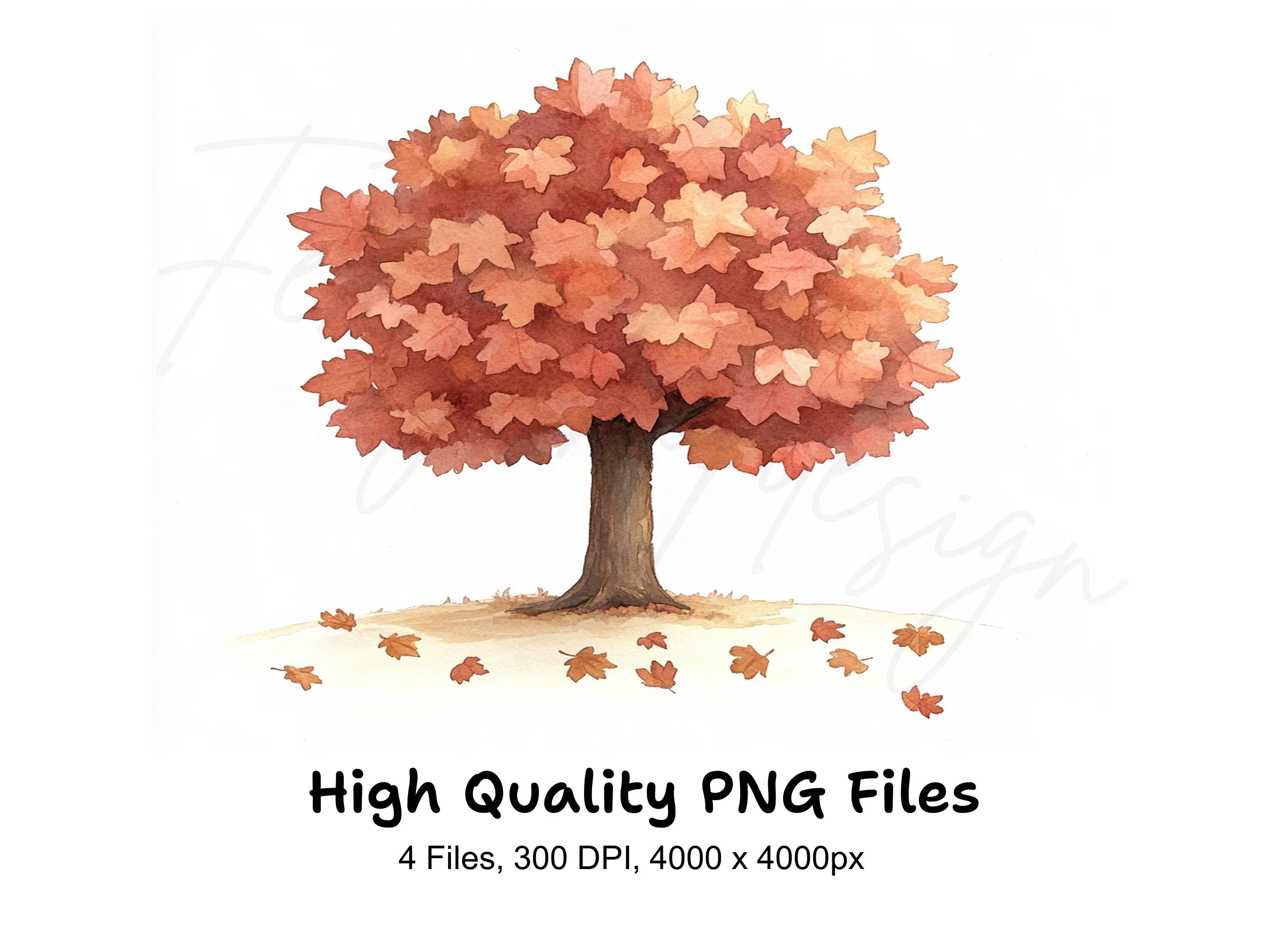 Fall Season Tree Illustrations Clipart Bundle