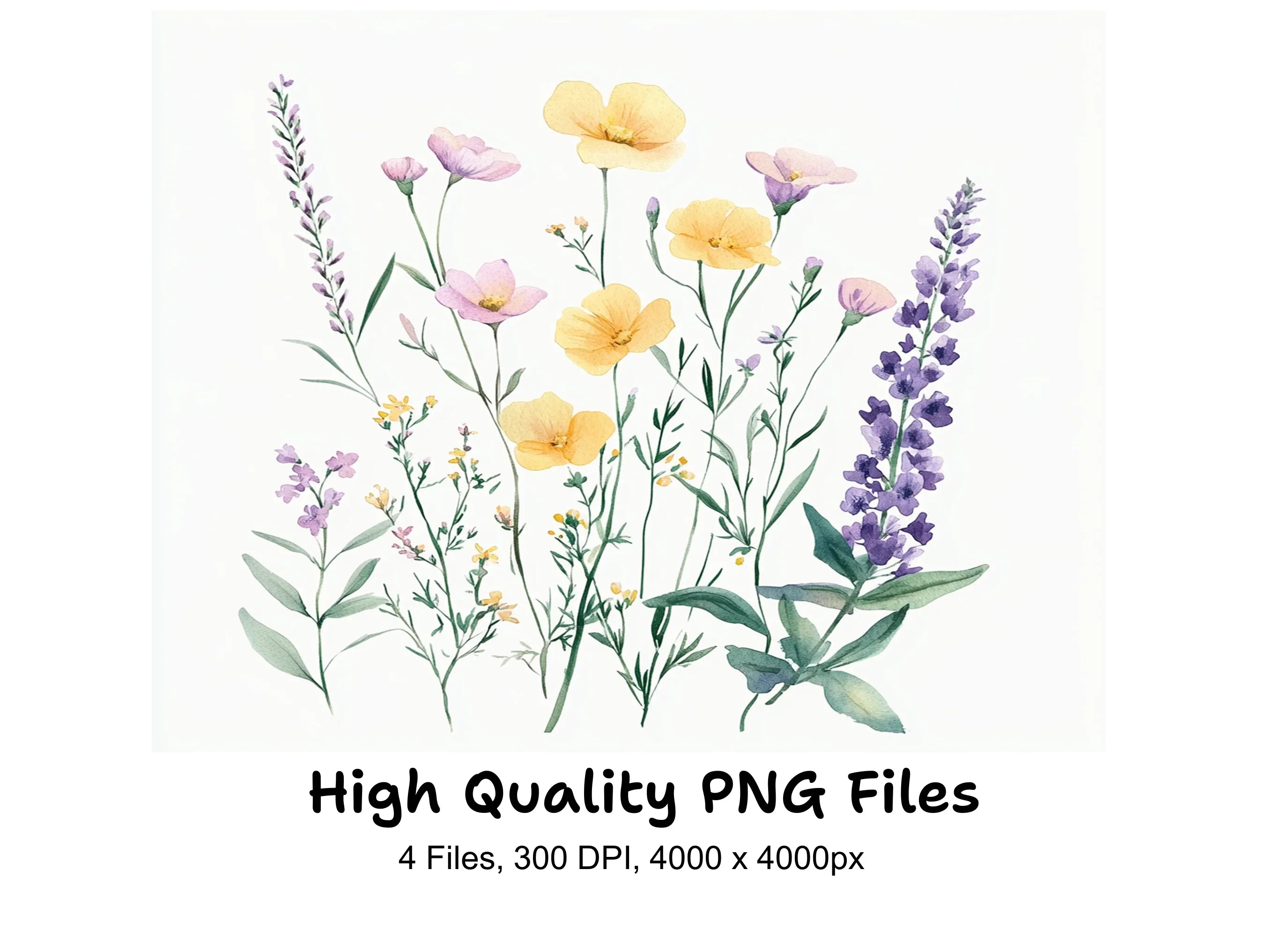 Vibrant Wildflower Clipart Bundle