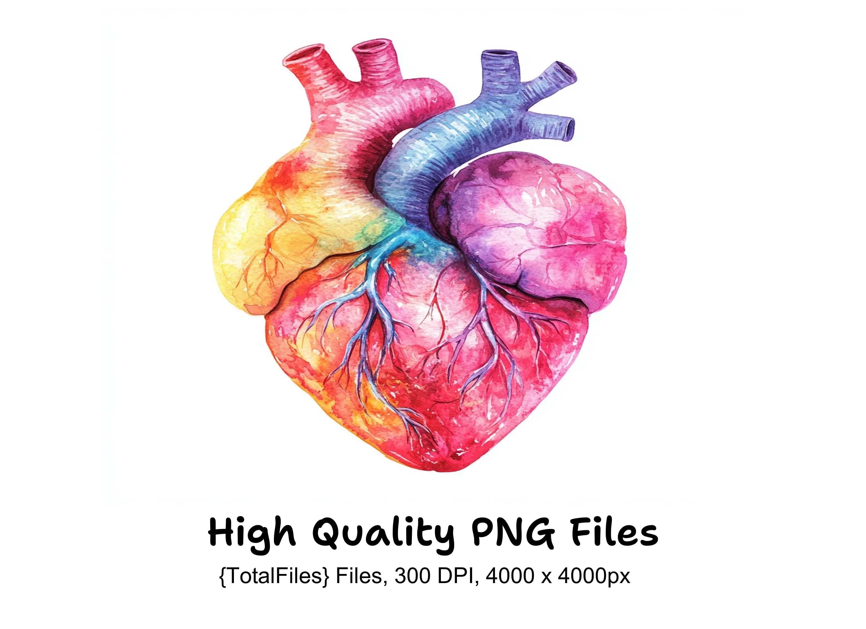 Vibrant Human Heart Clipart Bundle