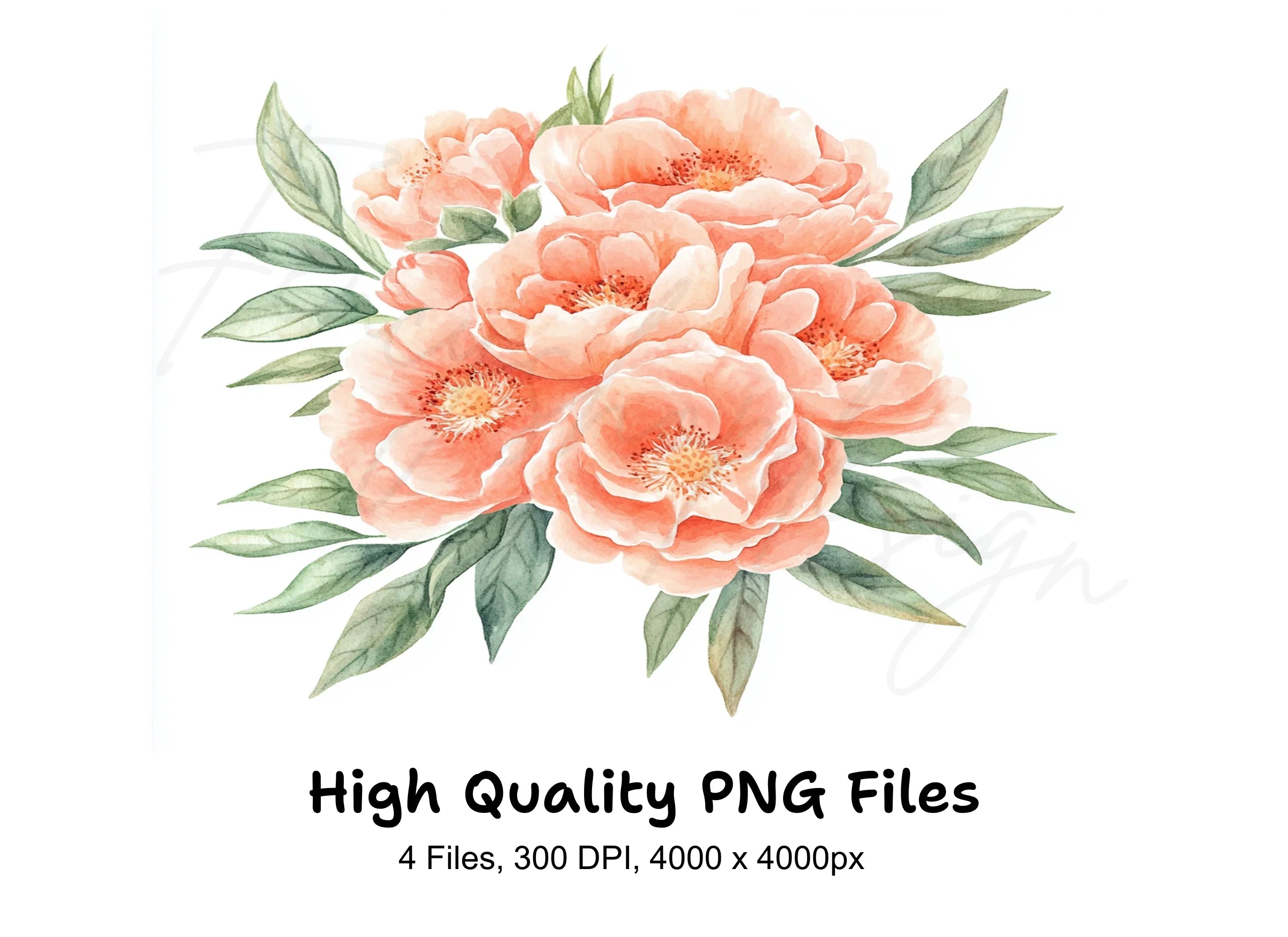 Peach Floral Clipart Bundle