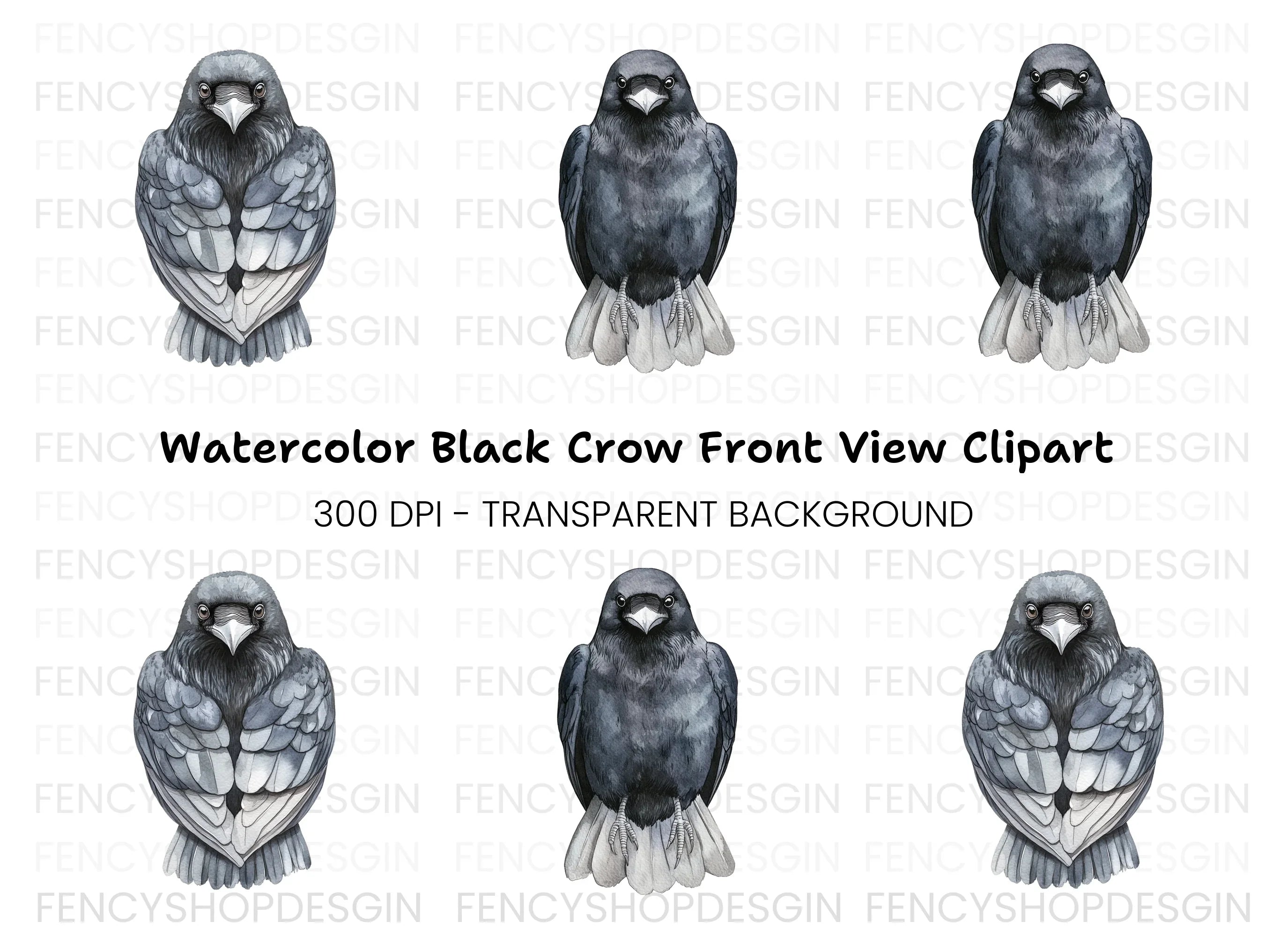 Front Facing Crow Clipart Bundle