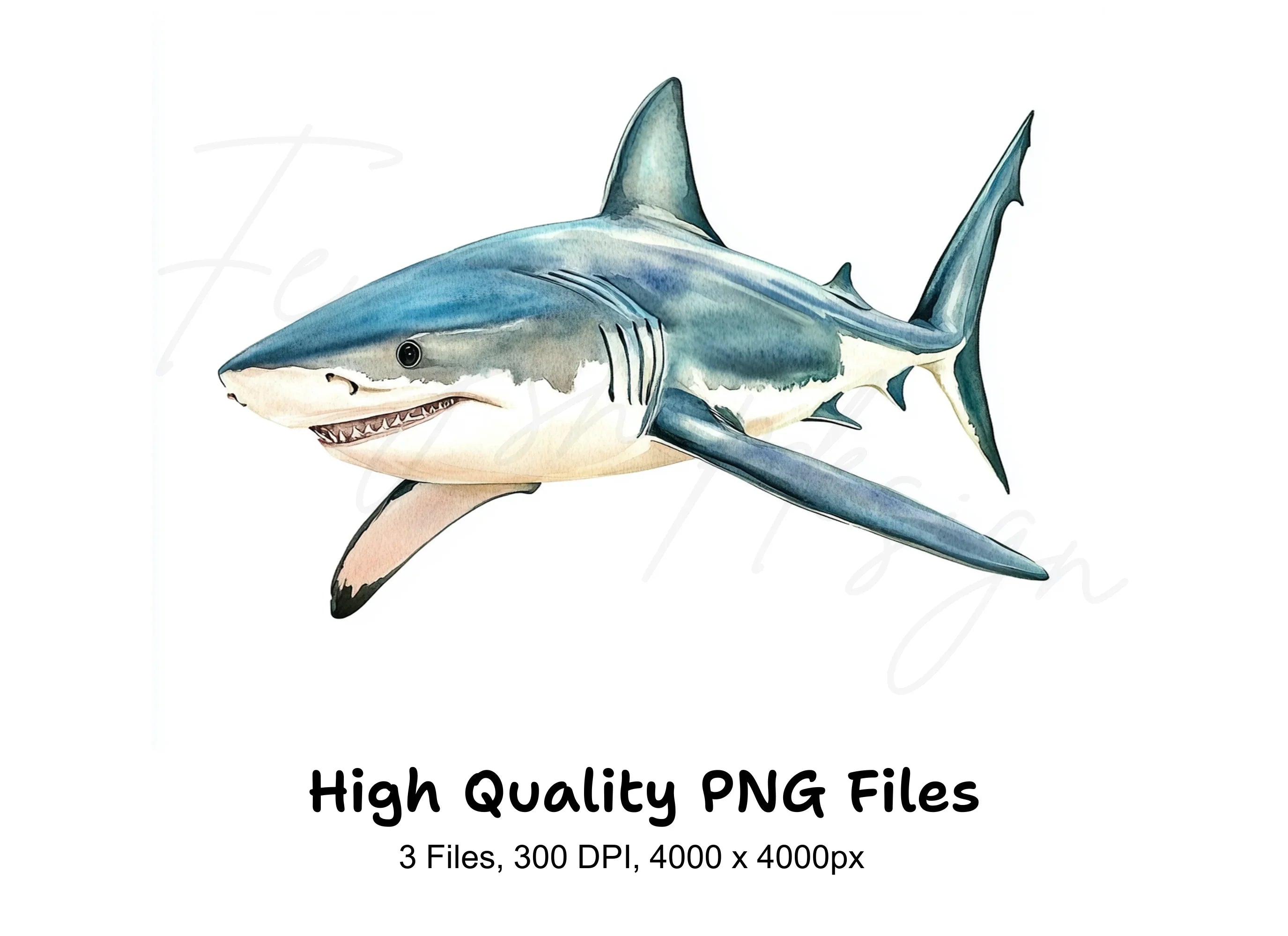 Mako Shark Clipart Bundle