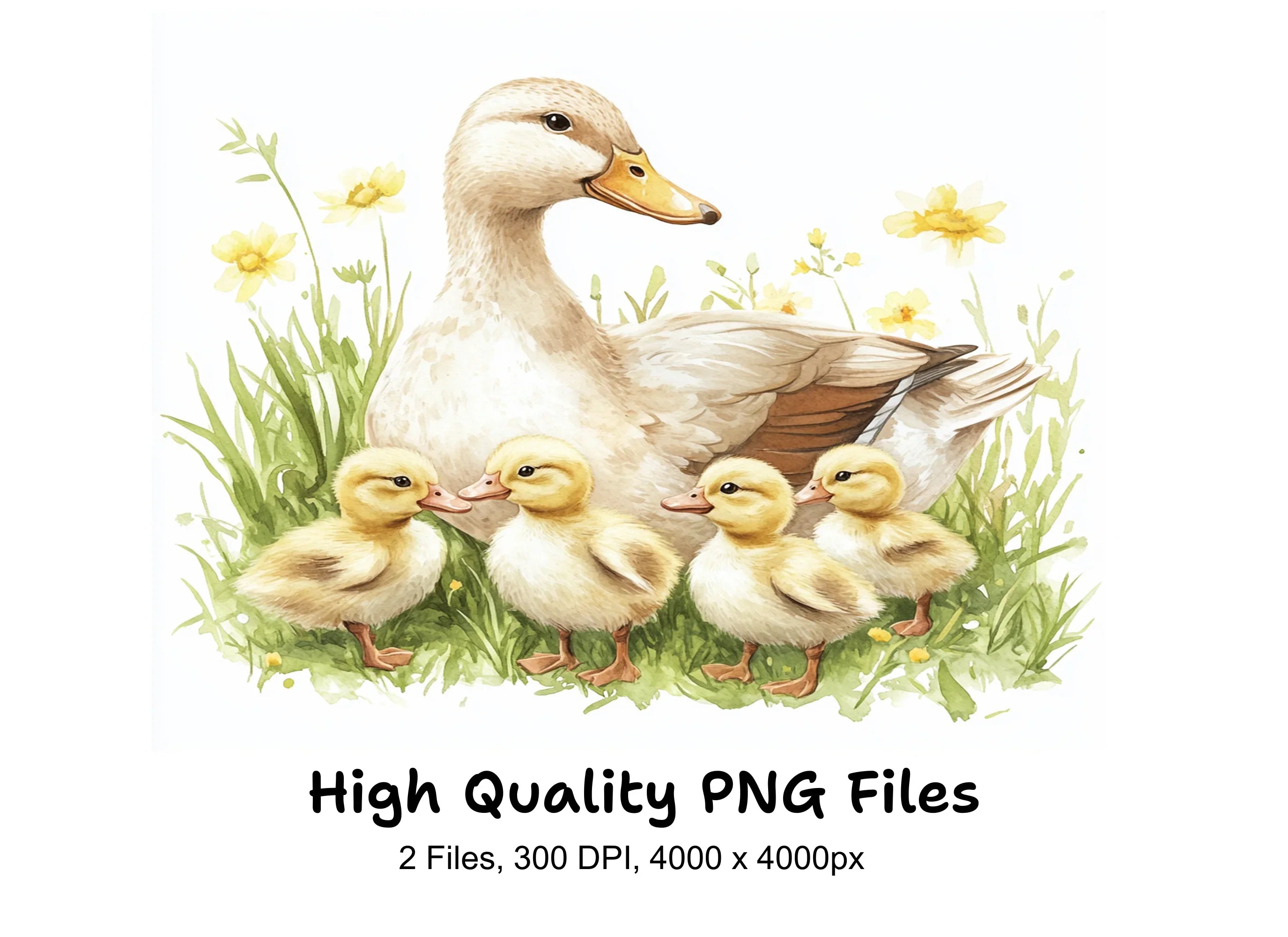 Mother Duck and Ducklings in Grass Clipart Bundle