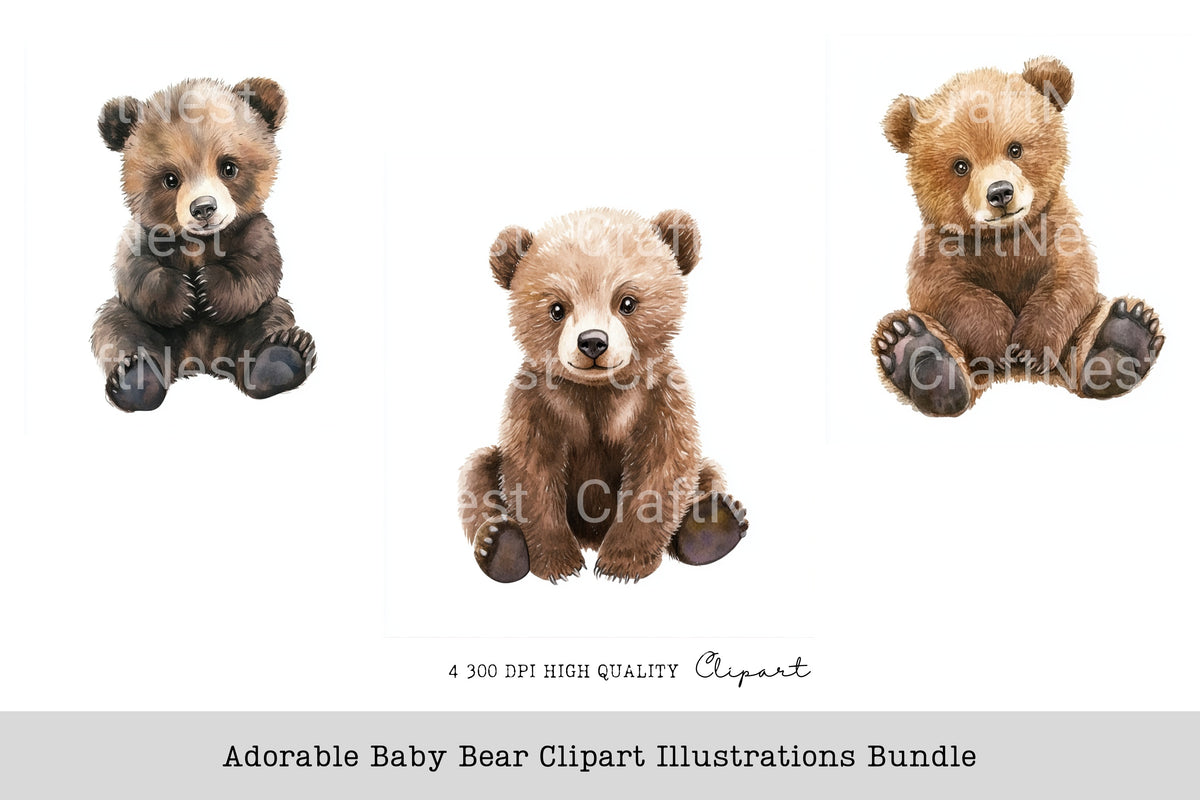 Adorable Baby Bear Illustrations Clipart Bundle