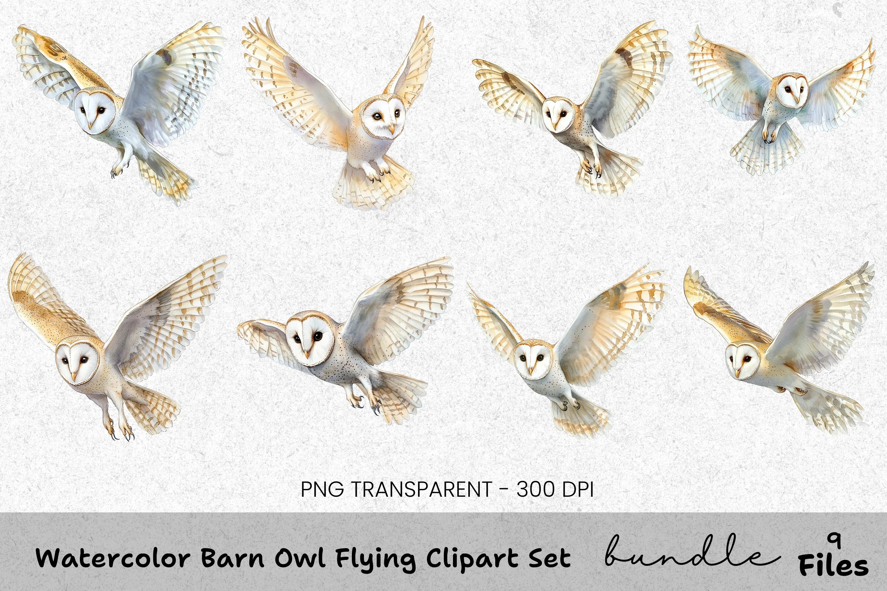Barn Owl Flying Clipart Bundle