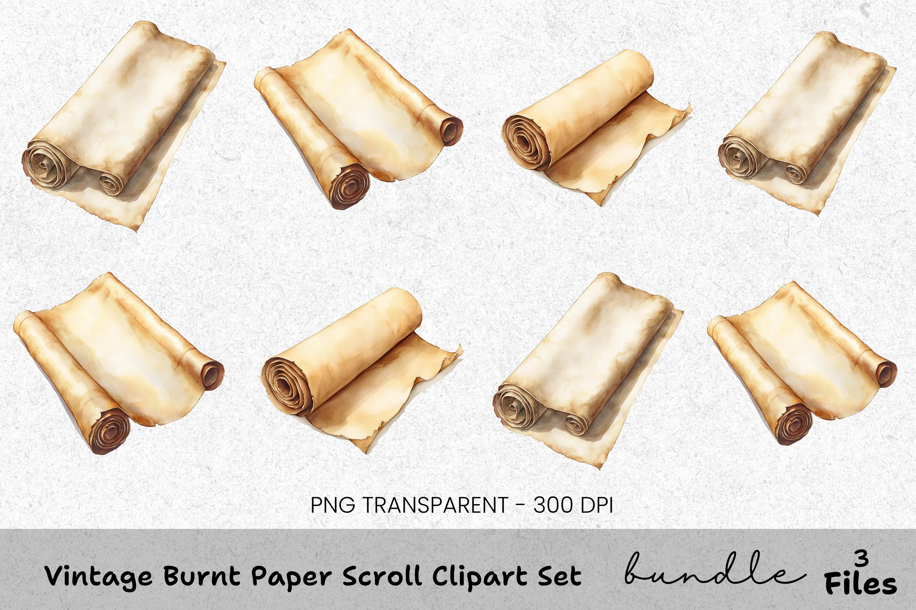 Vintage Burnt Scroll Clipart Bundle