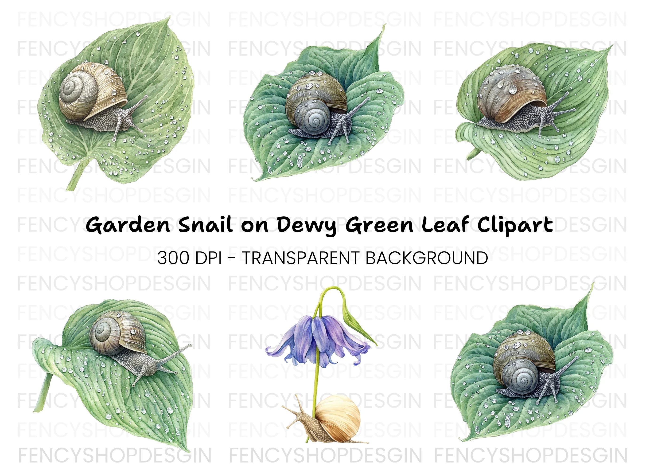Snails on Wet Leaves Clipart Bundle