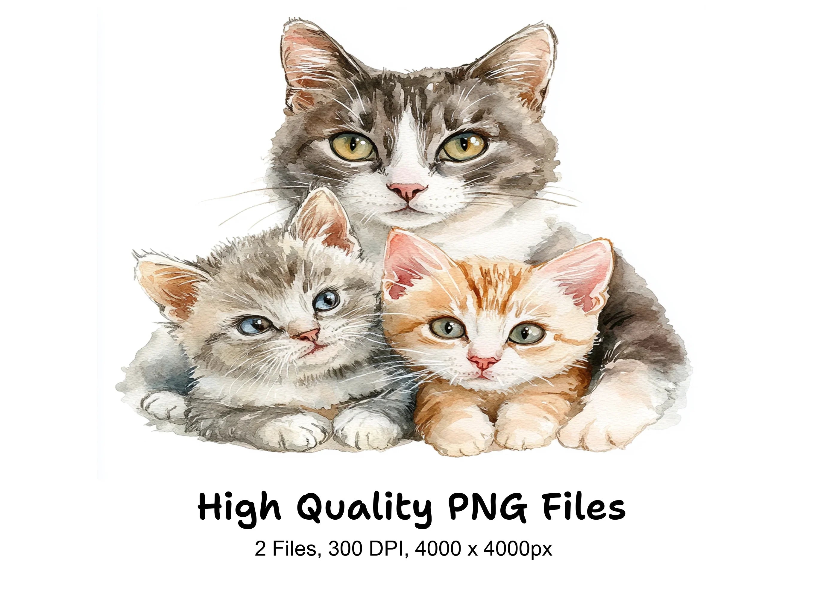 Cute Cat and Kitten Clipart Bundle