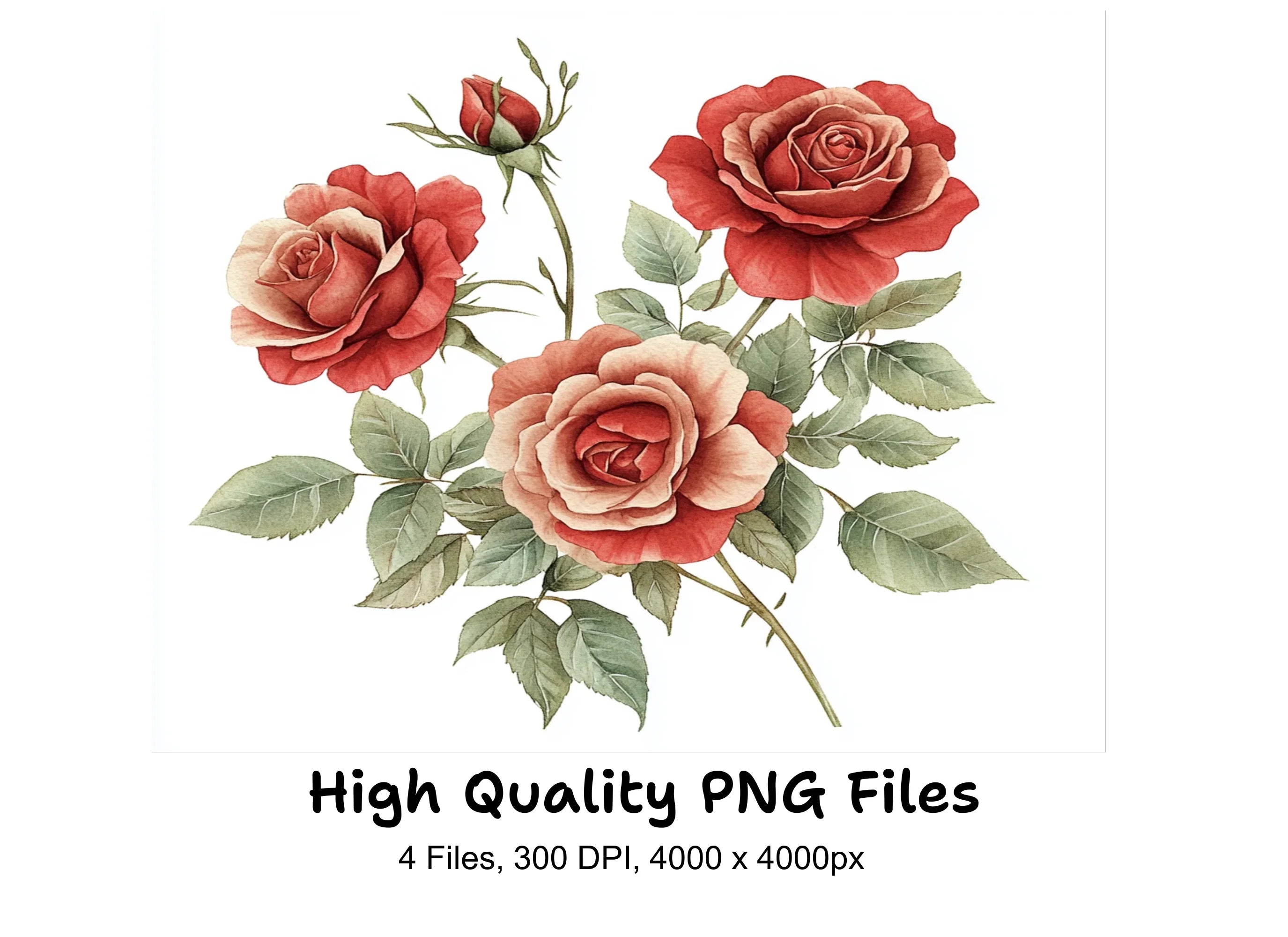 Elegant Red and White Rose Clipart Bundle