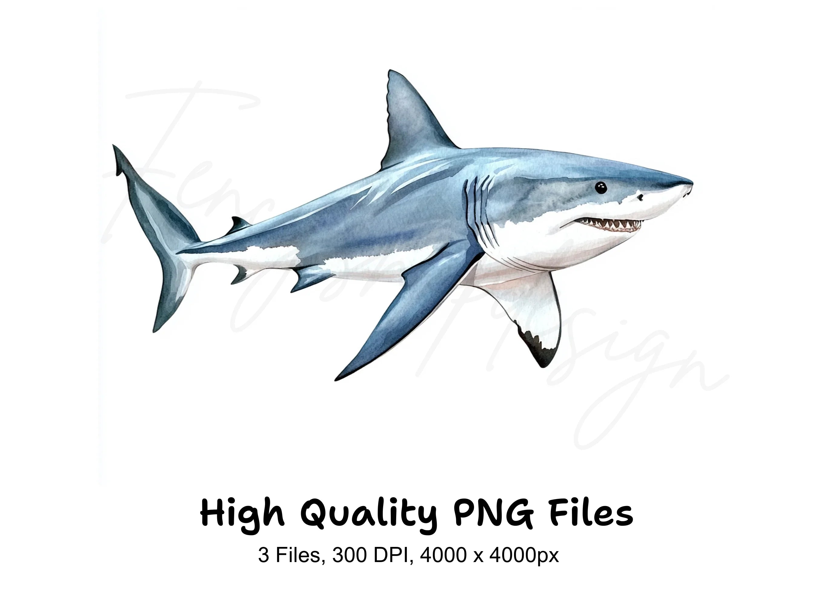Great White Shark Clipart Bundle