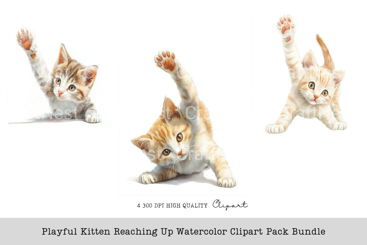 Playful Kitten Reaching Up Clipart Bundle