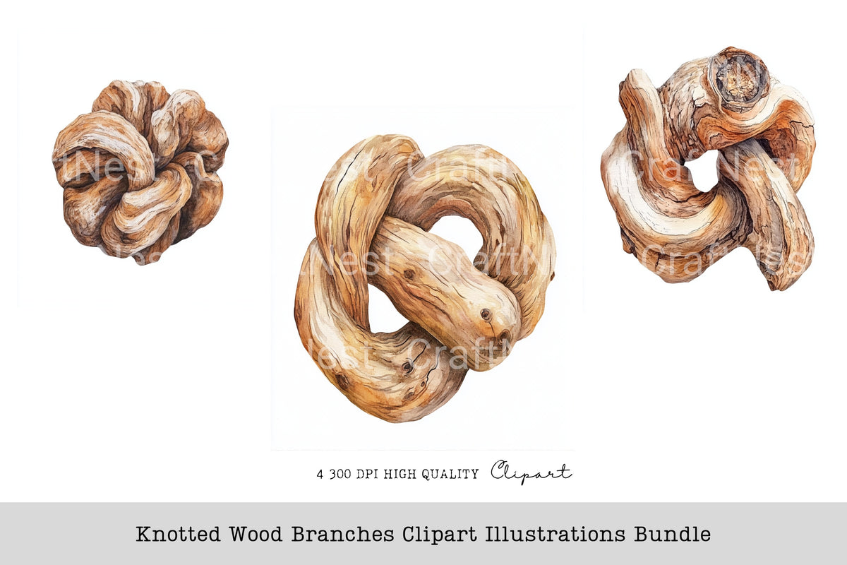 Knotted Wood Branches Illustrations Clipart Bundle