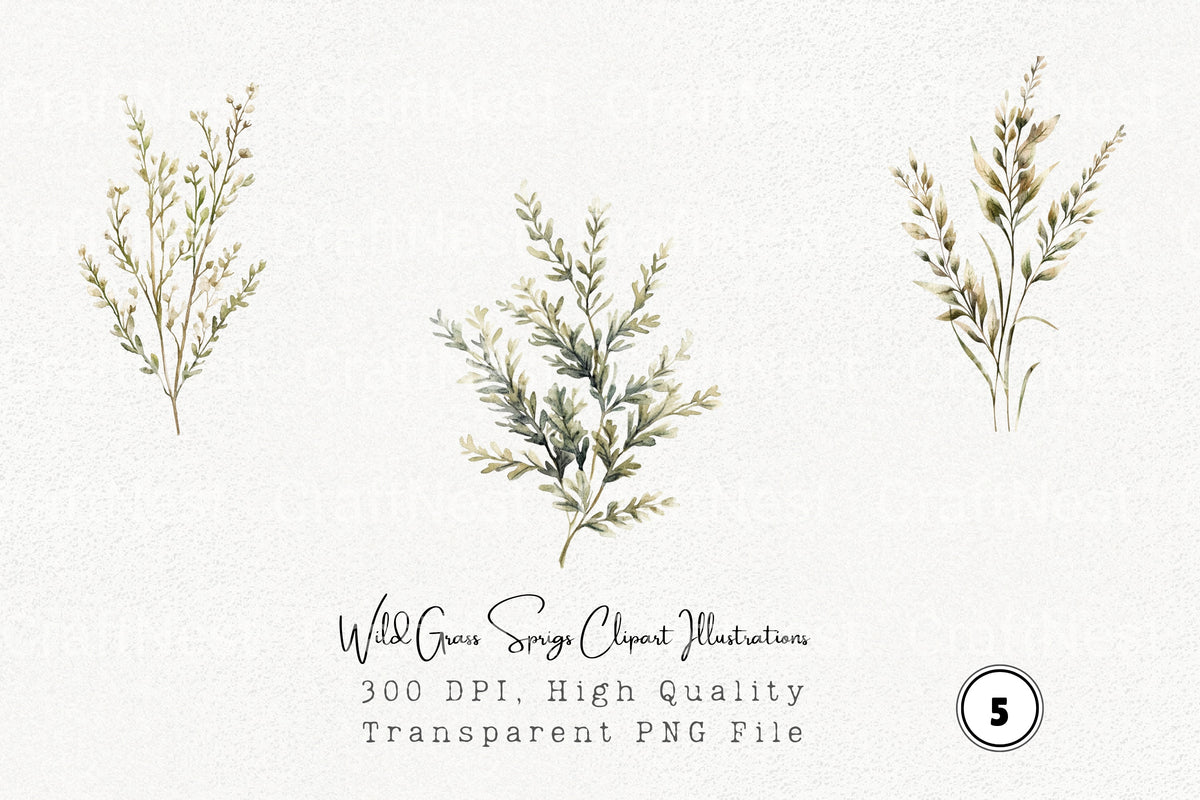 Wild Grass Sprigs Illustrations Clipart Bundle