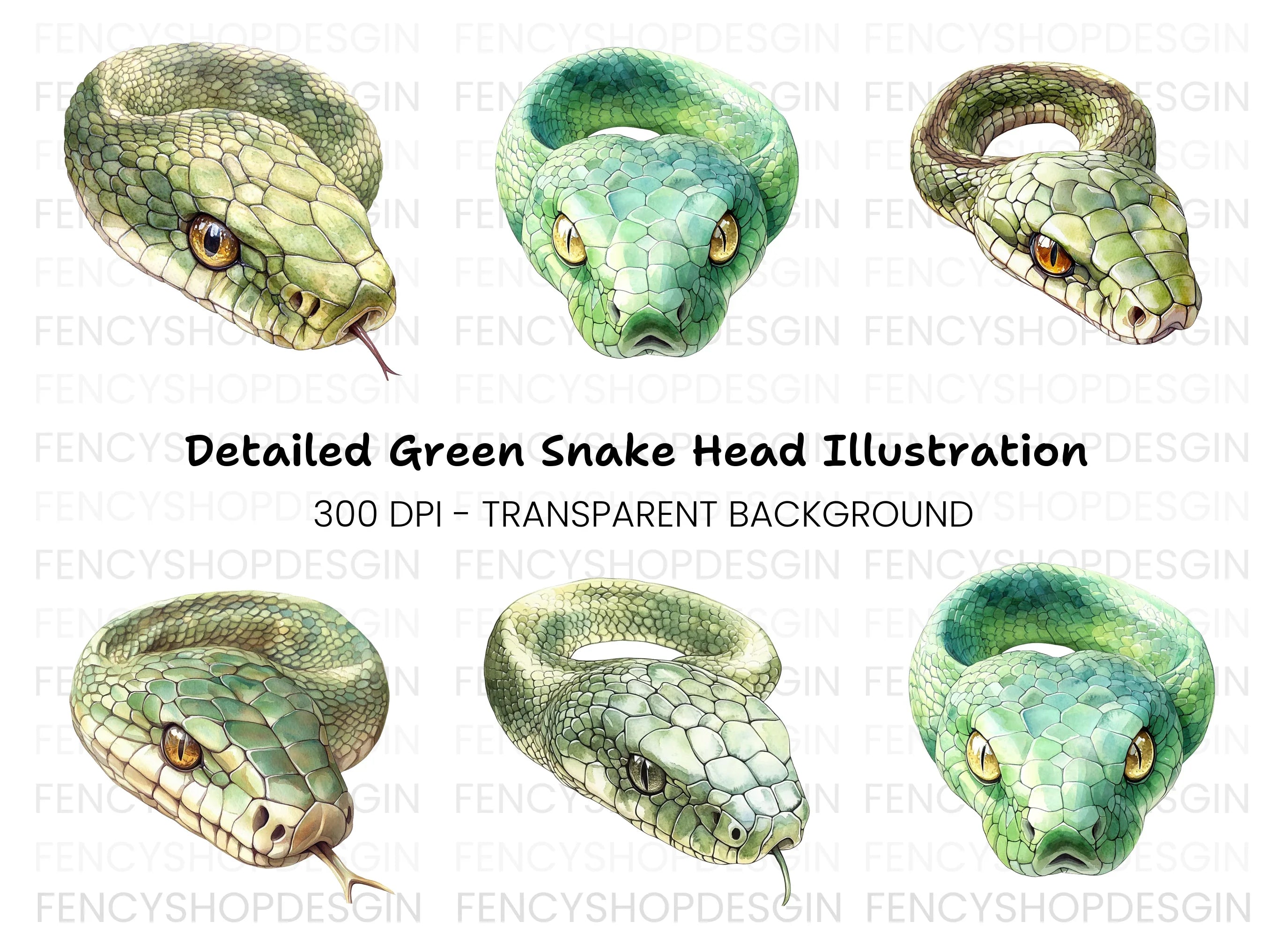 Green Snake Head and Body Clipart Bundle