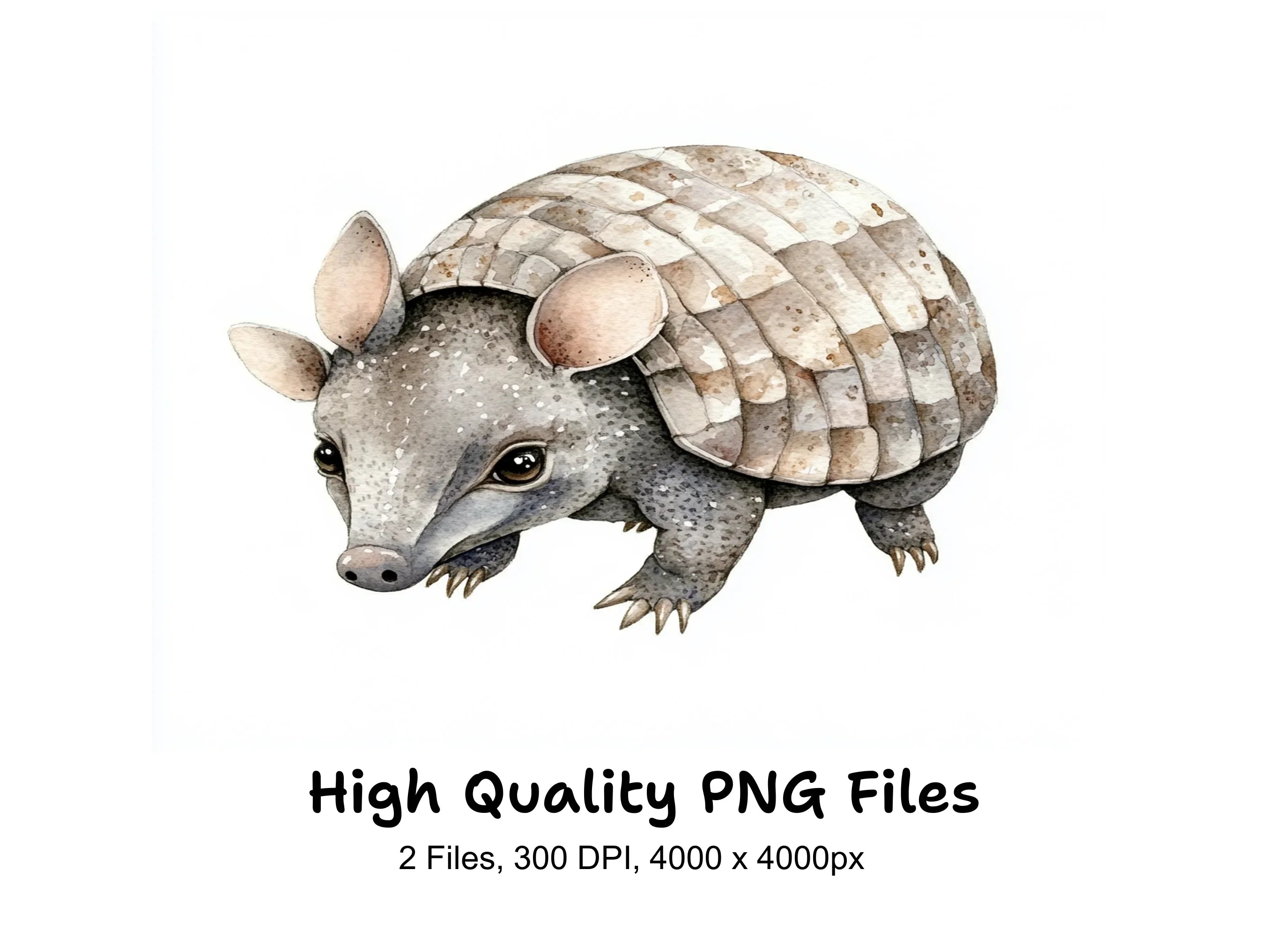 Cute Armadillo Clipart Bundle