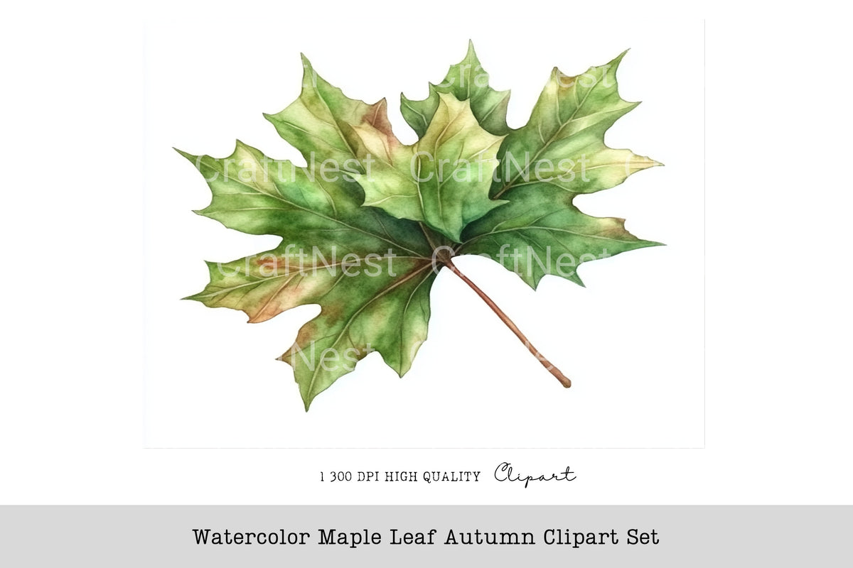 Maple Leaf Autumn Clipart Bundle