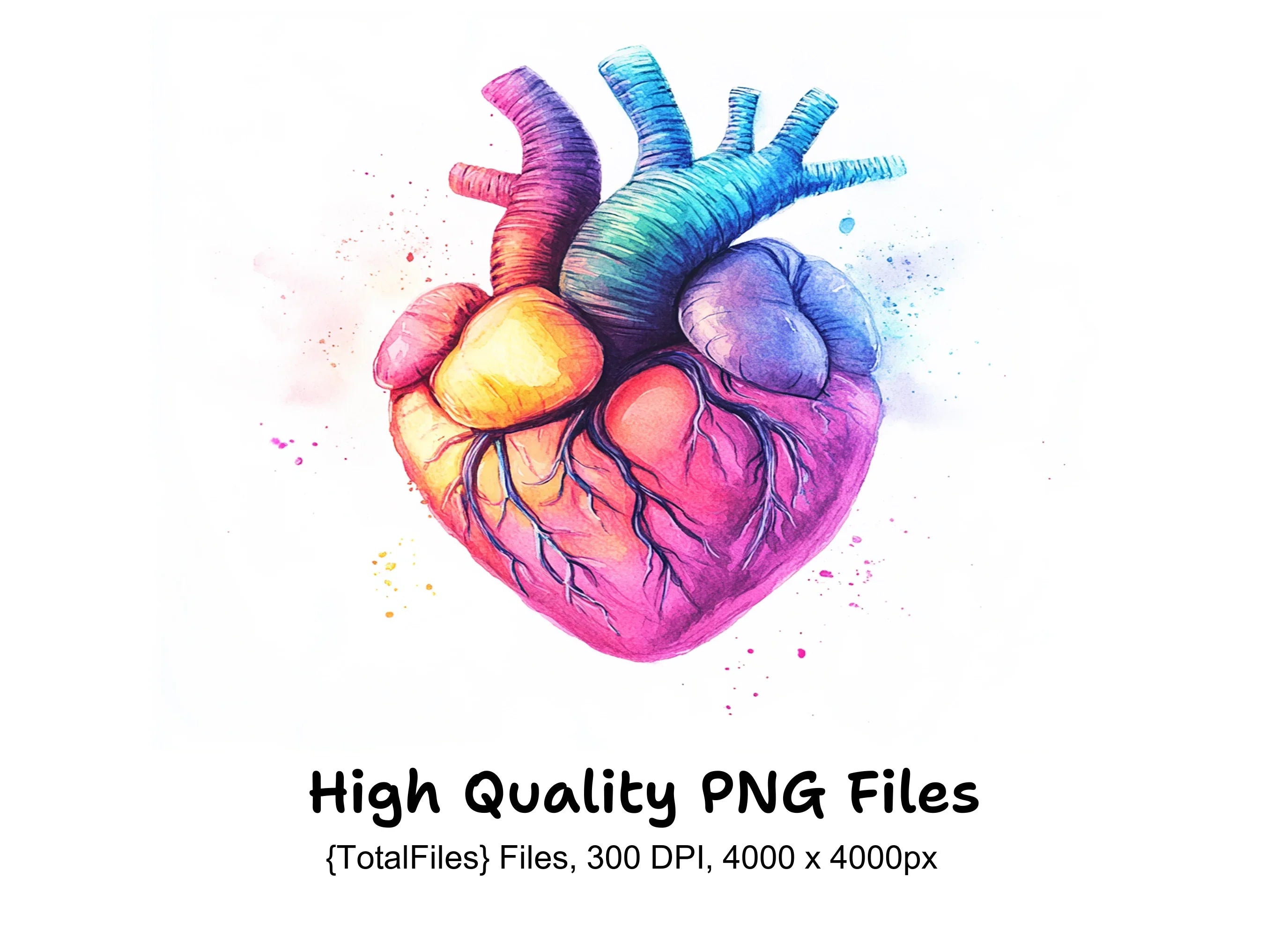 Colorful Anatomical Heart Clipart Bundle