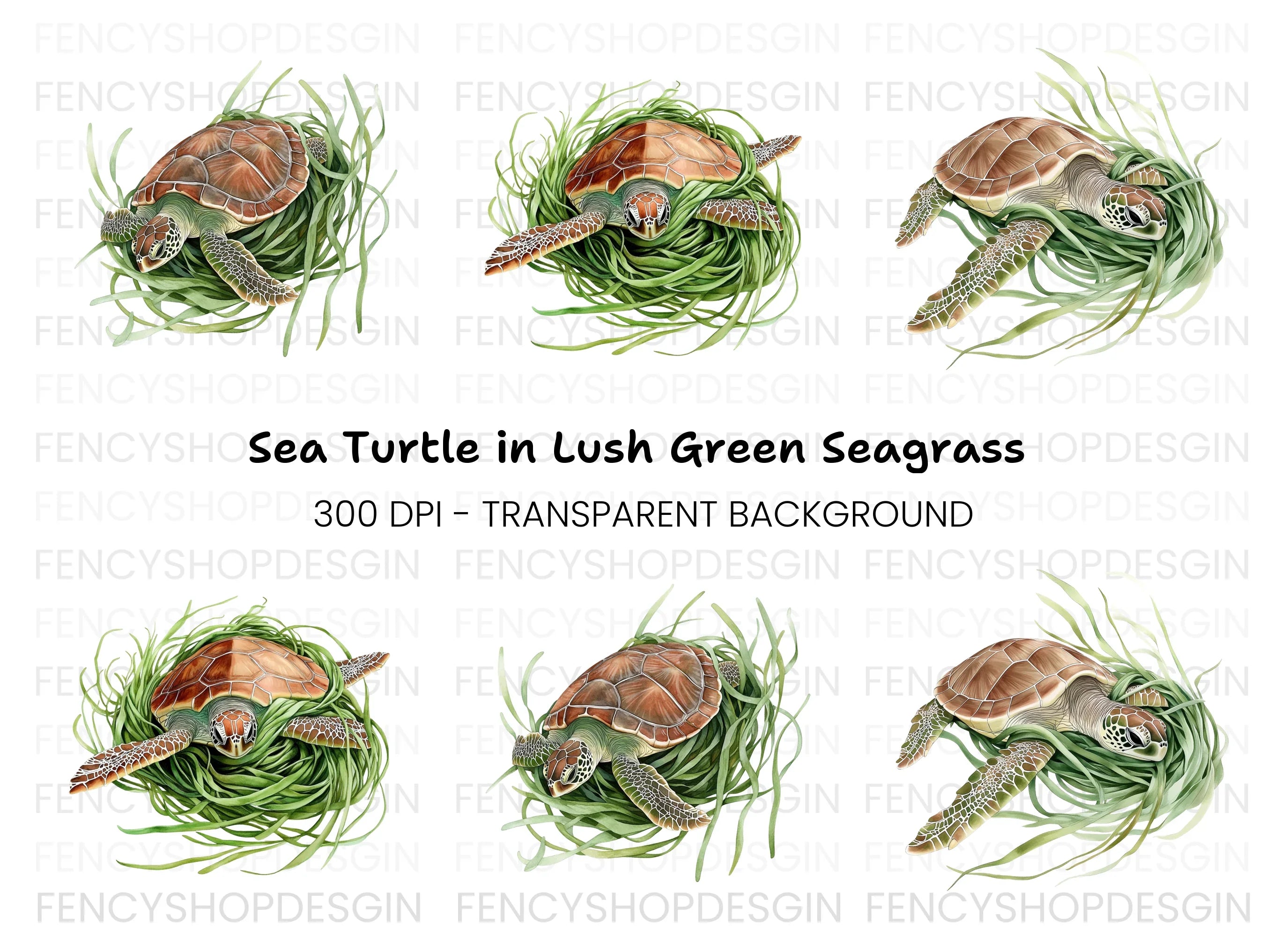 Sea Turtle in Seagrass Clipart Bundle