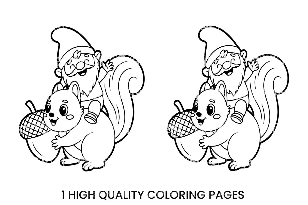Gnome and Squirrel Friends Coloring Books