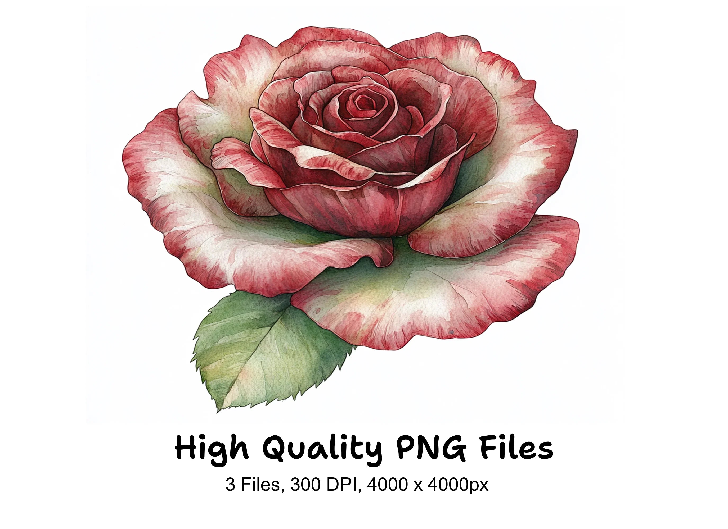 Rich Red Rose Clipart Bundle