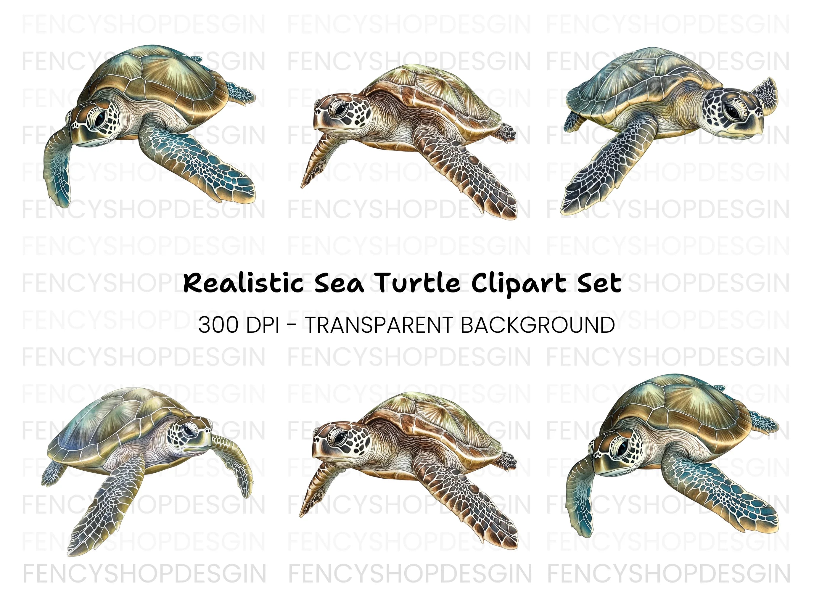 Green Sea Turtles Clipart Bundle