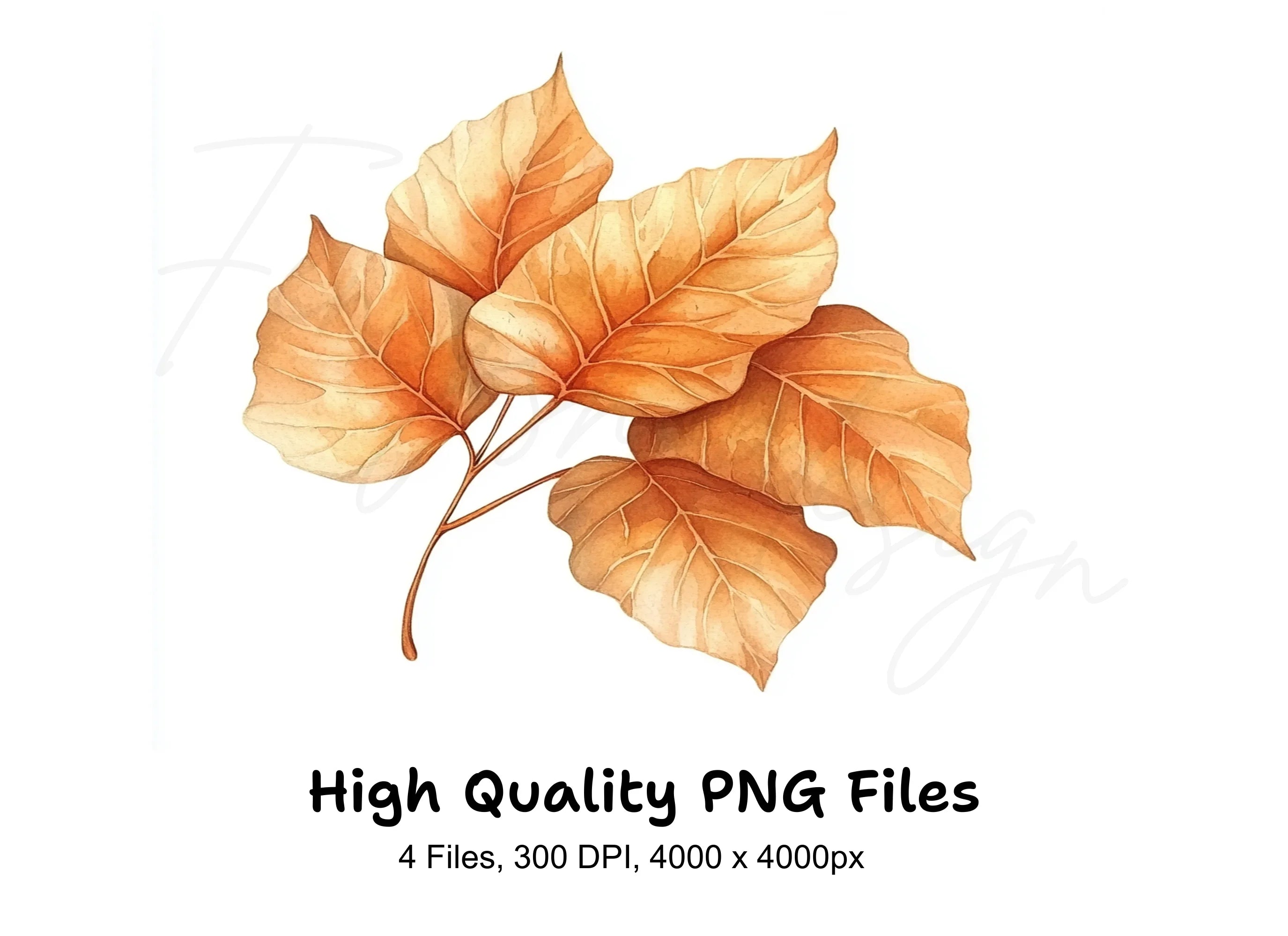 Warm Toned Autumn Leaf Branches Clipart Bundle