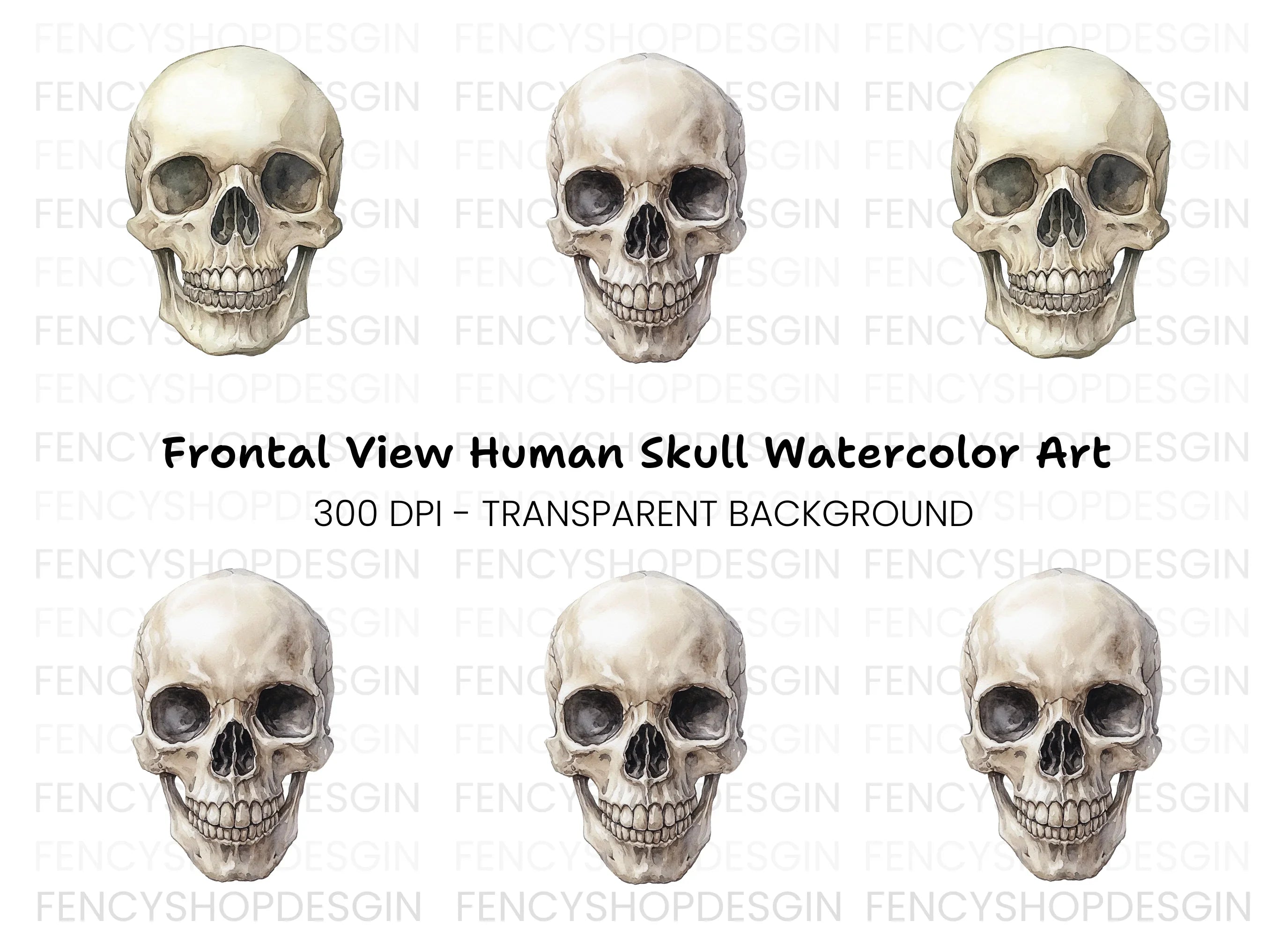 Detailed Human Skull Clipart Bundle