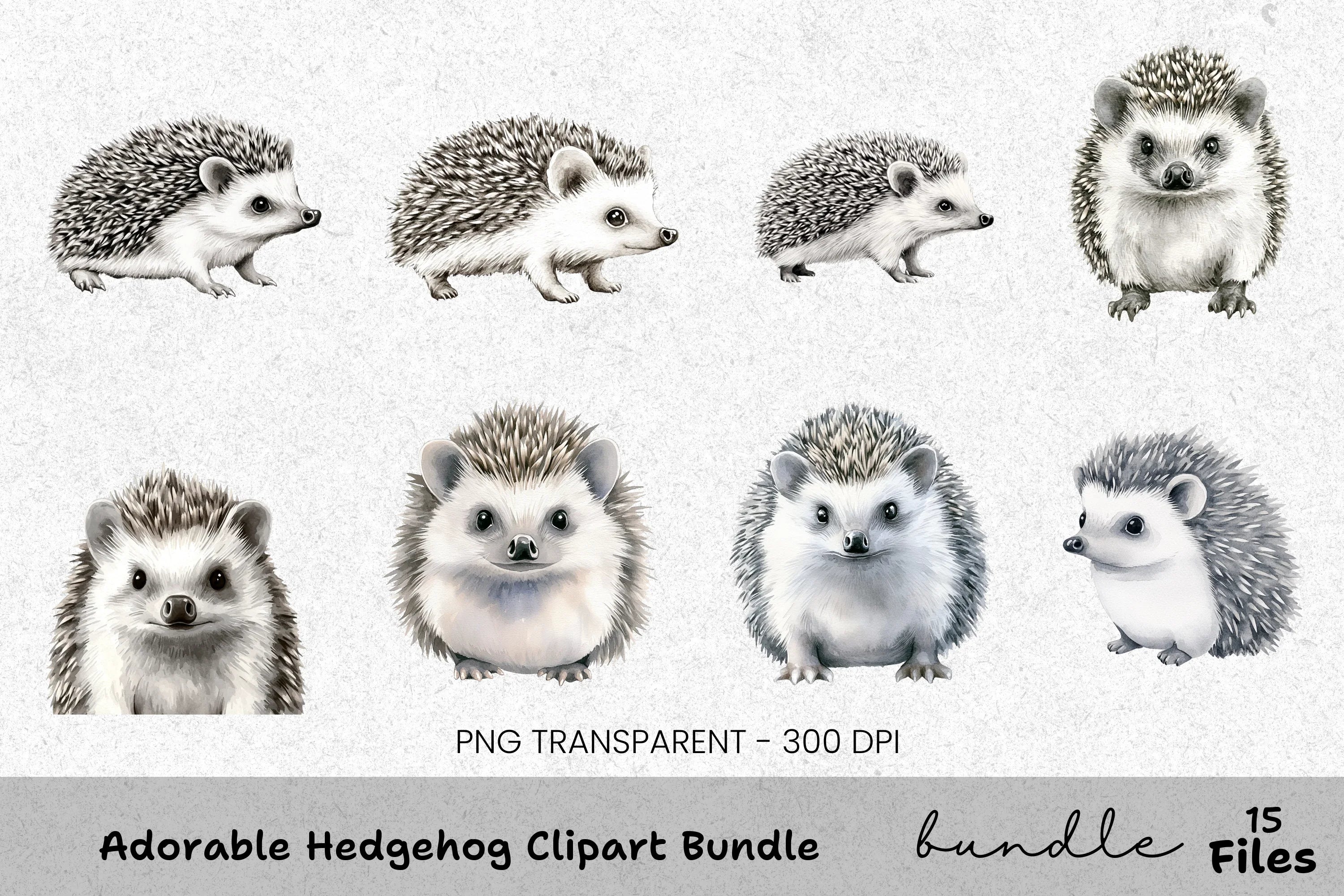 Adorable Hedgehog Clipart Bundle