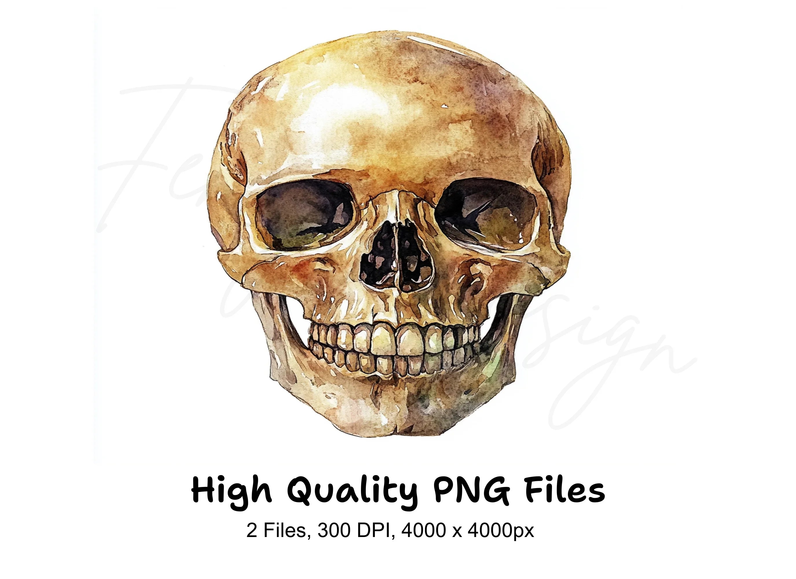 Human Skulls Clipart Bundle