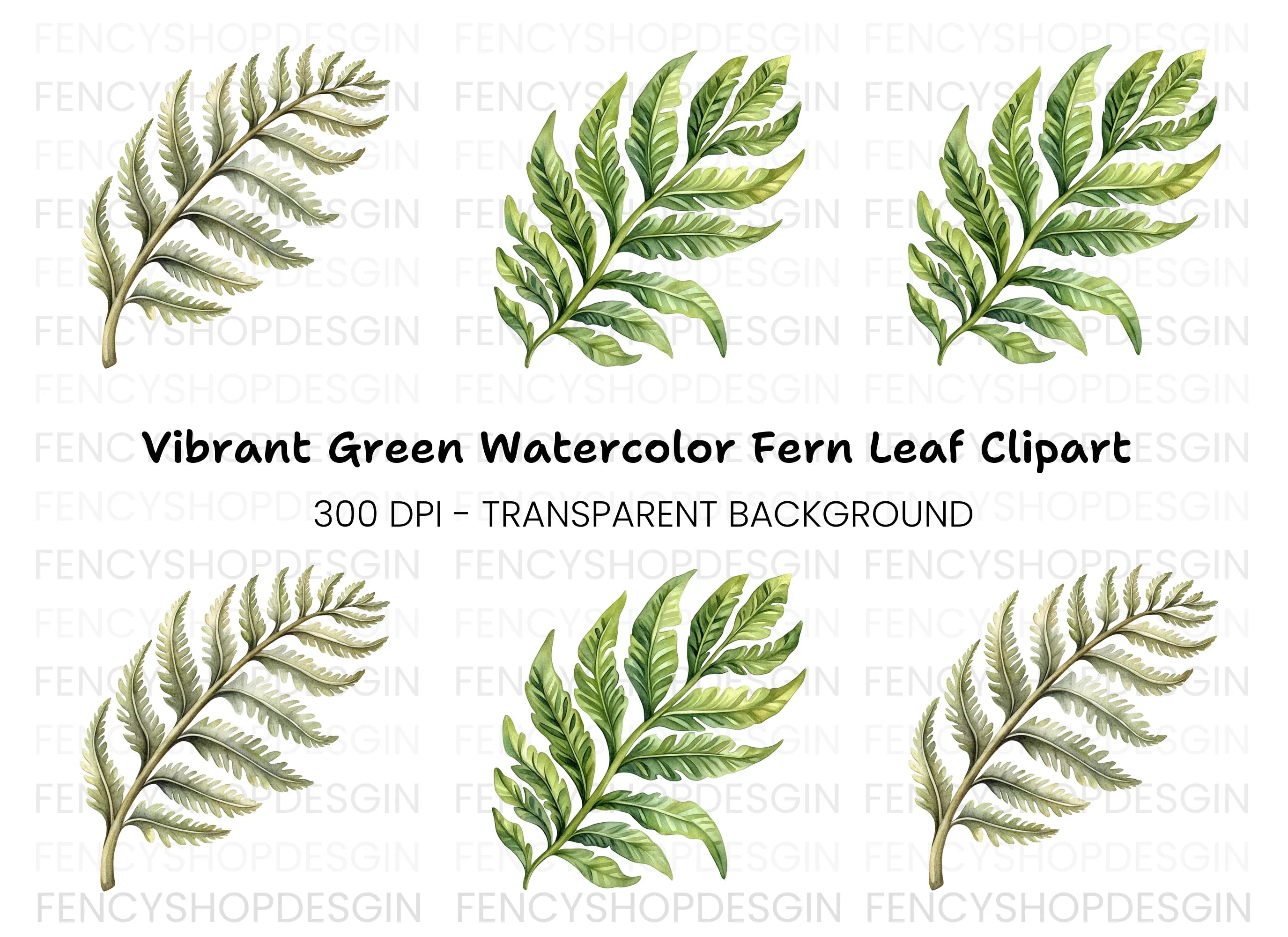 Fern Leaves Clipart Bundle