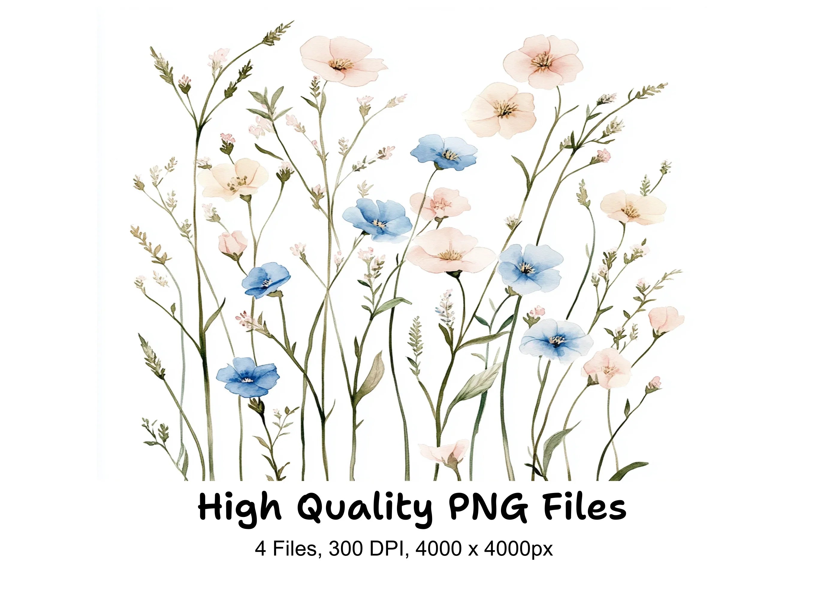 Delicate Wildflower Meadow Clipart Bundle