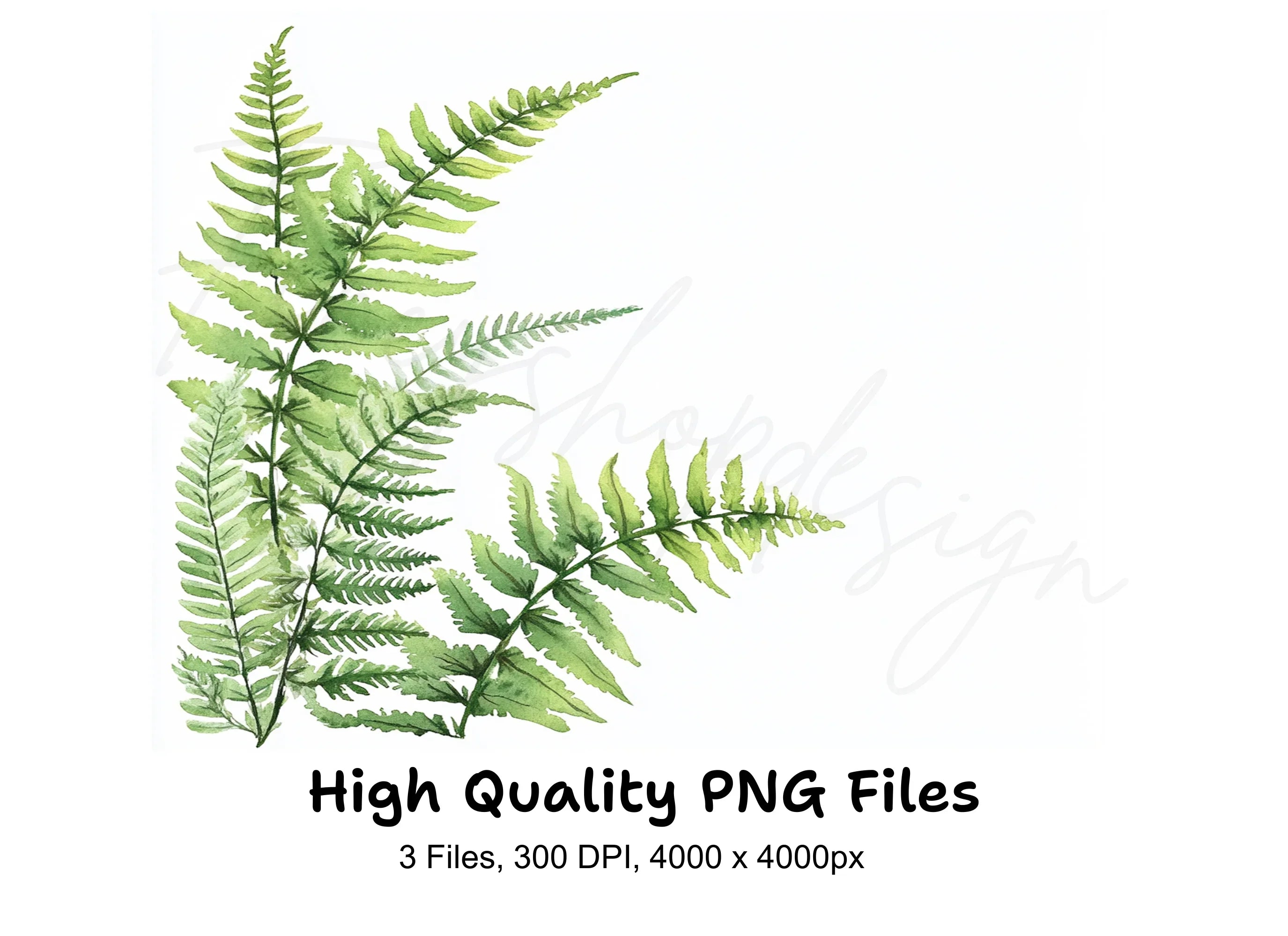 Green Fern Border Elements Clipart Bundle