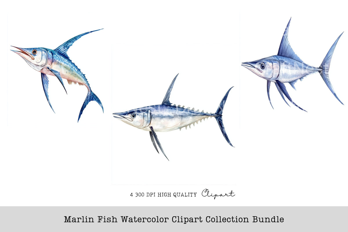 Marlin Fish Clipart Bundle