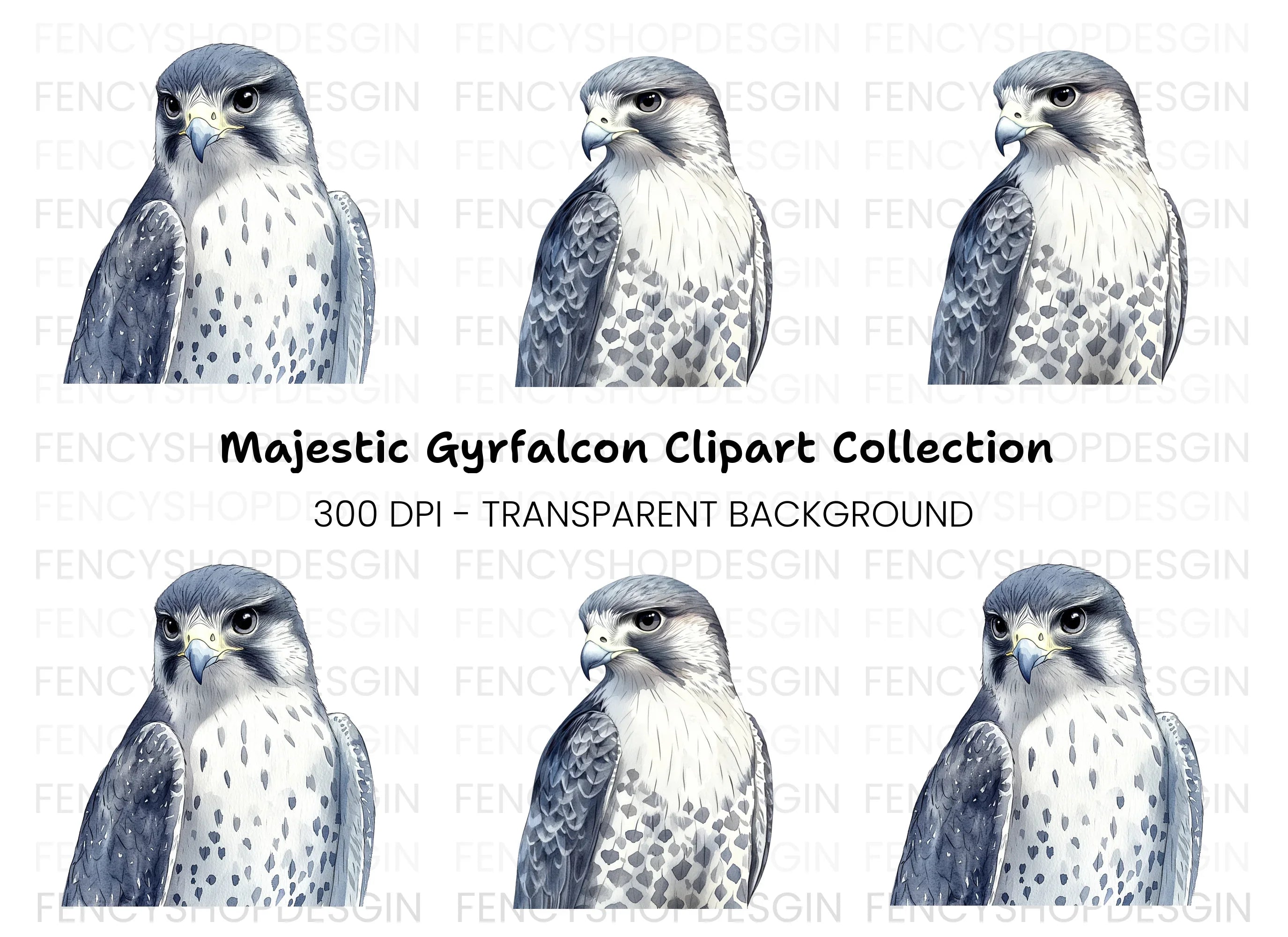 Majestic Falcon Clipart Bundle